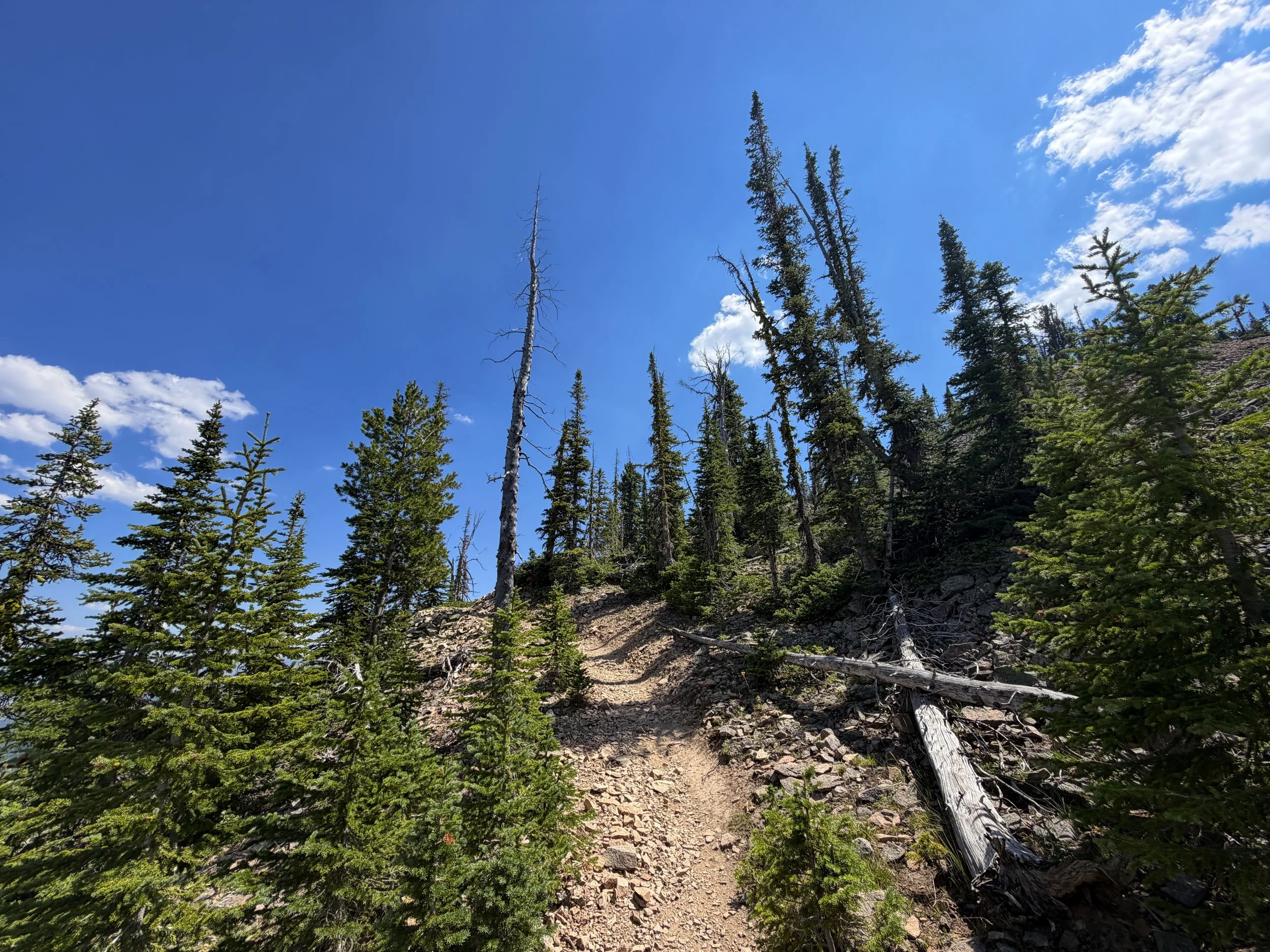 Bunsen Peak Trail Yellowstone National Park Wyoming
