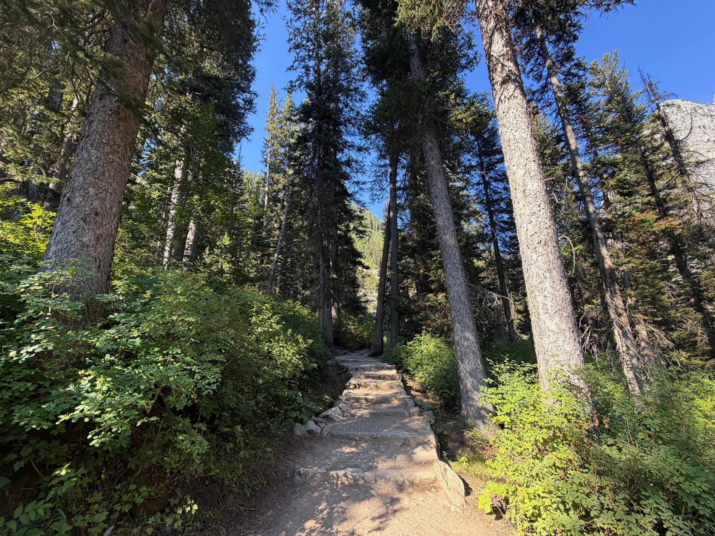 Hidden Falls Trail Grand Teton National Park Wyoming