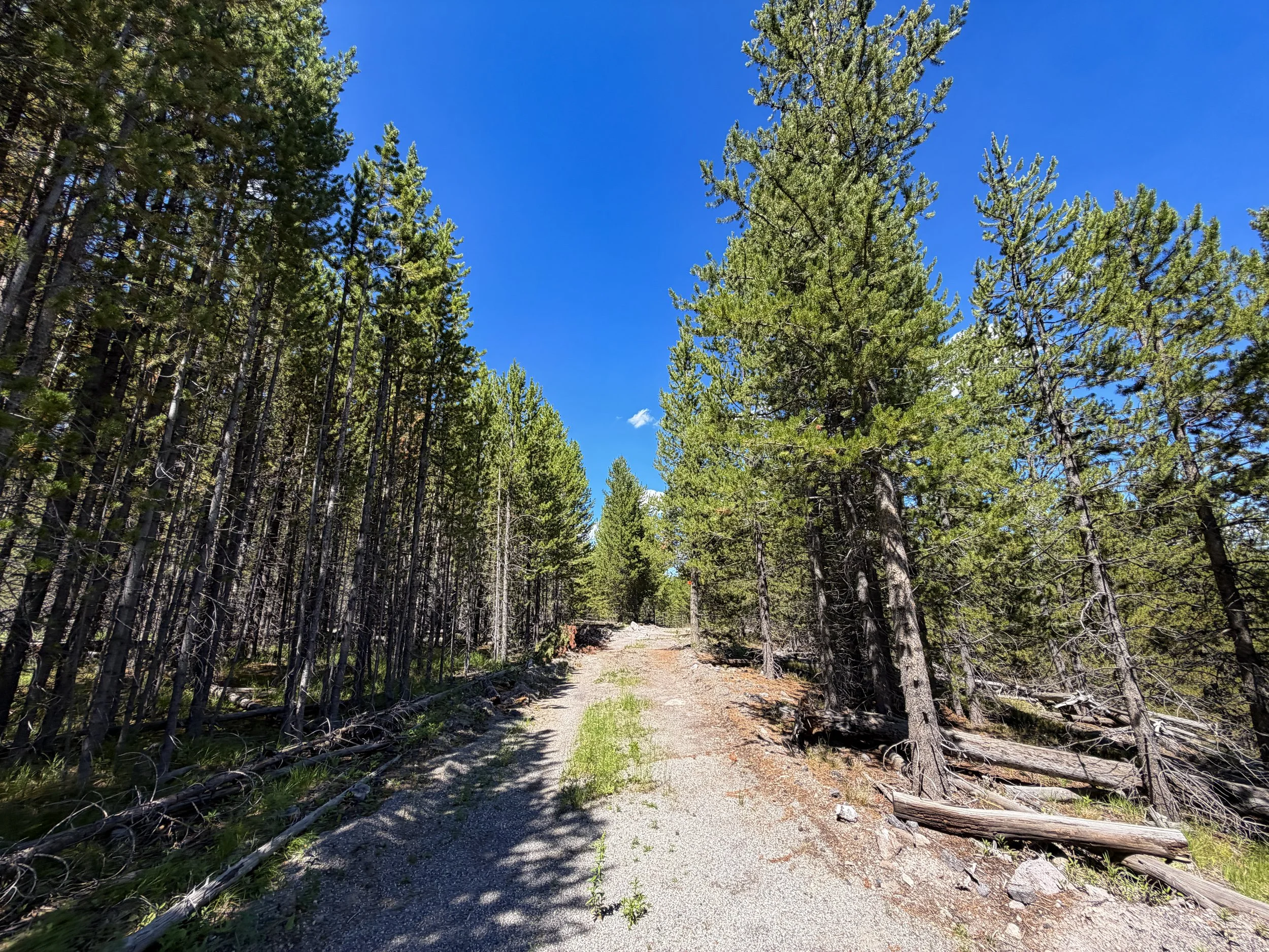 Fern Cascade Loop Trail Yellowstone National Park Wyoming
