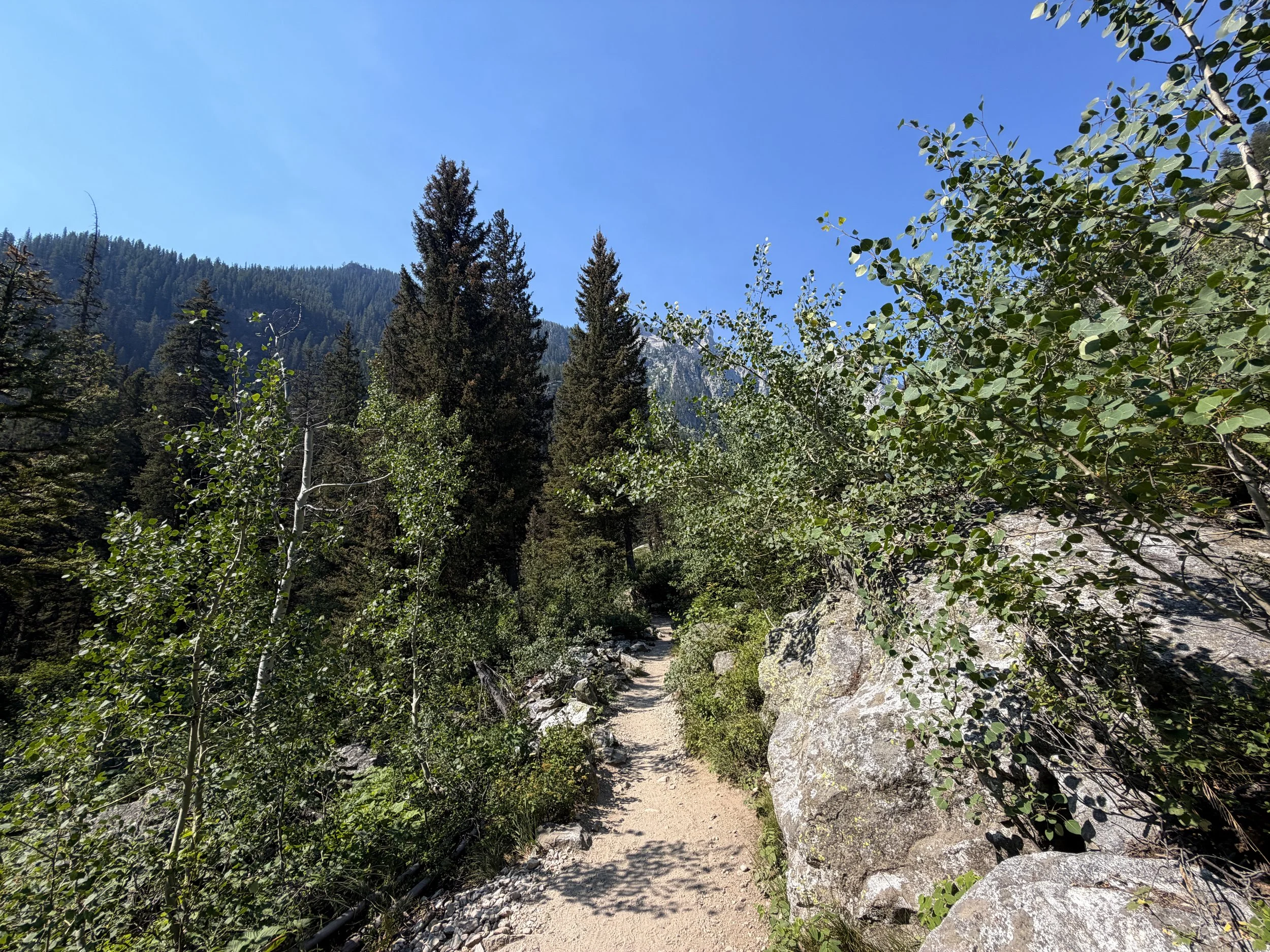Cascade Canyon Trail Grand Teton National Park Wyoming