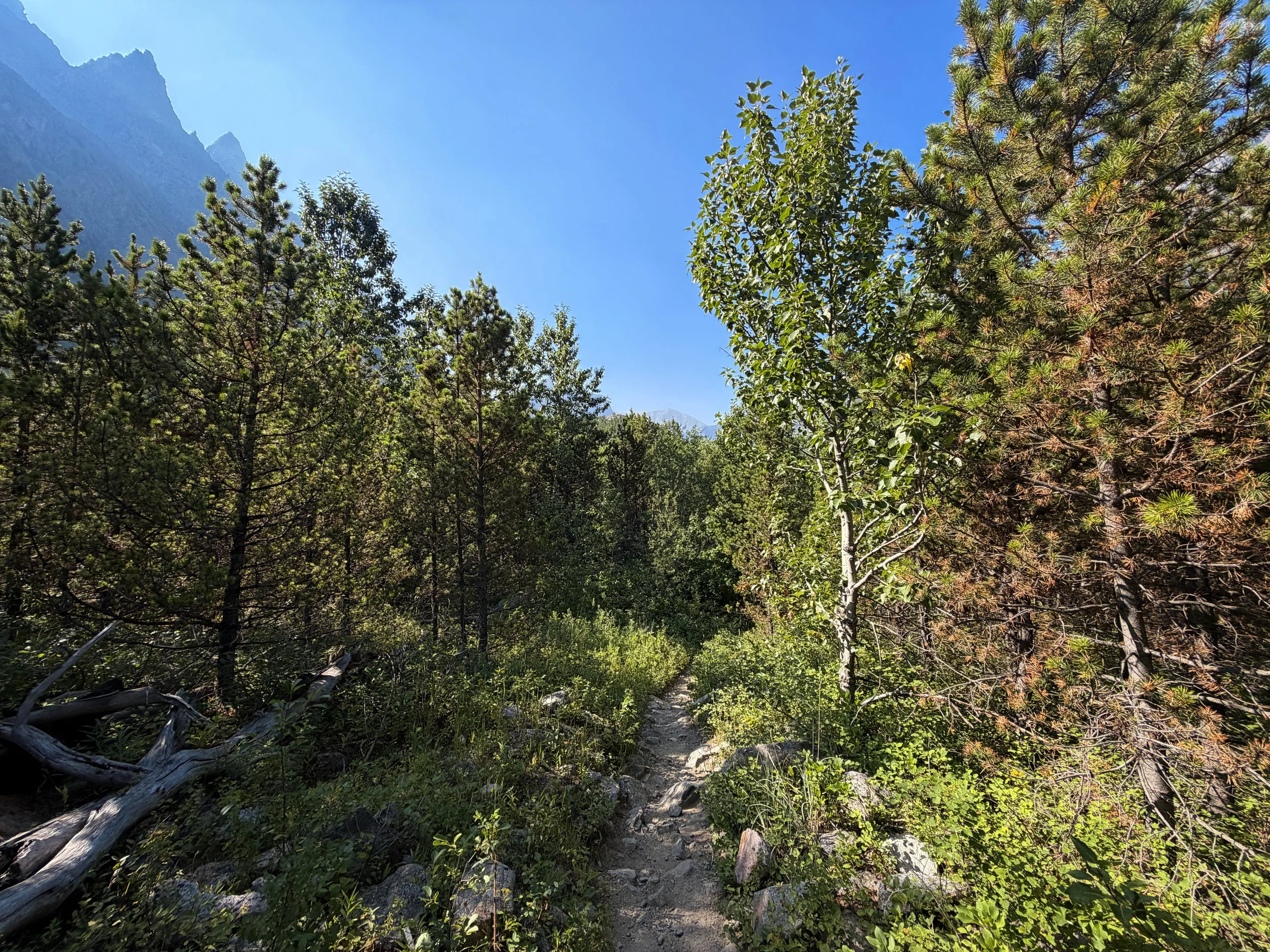 East Rosebud Trail Beartooth Mountains Montana