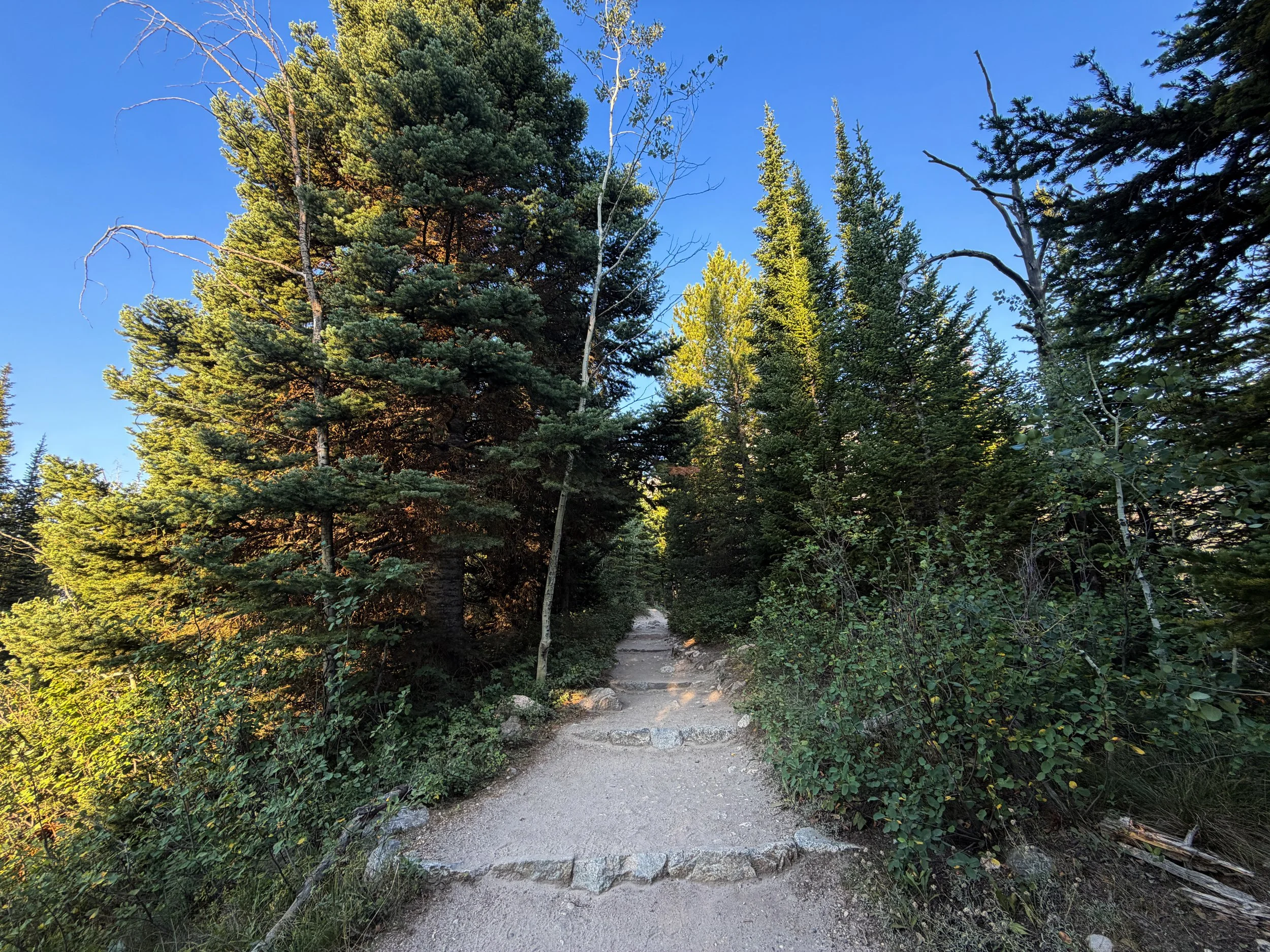 Hidden Falls Trail via Jenny Lake Grand Teton National Park Wyoming