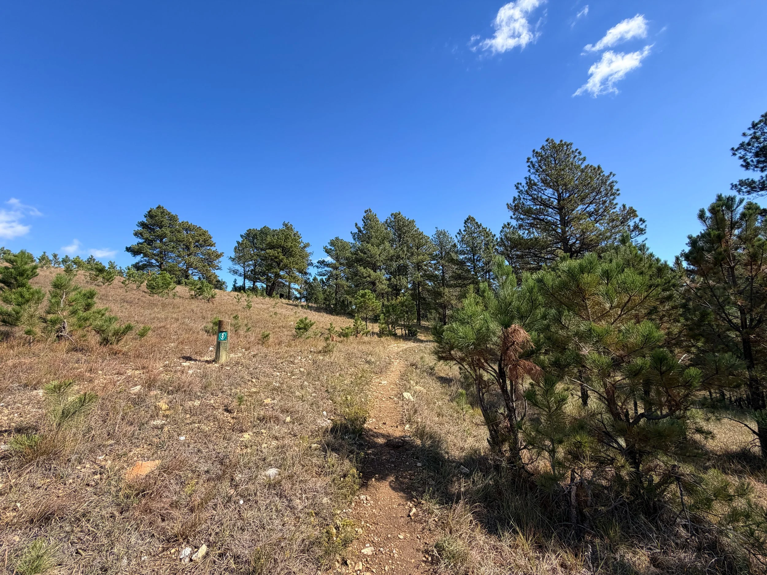 Lookout Point Loop Trail Wind Cave National Park South Dakota