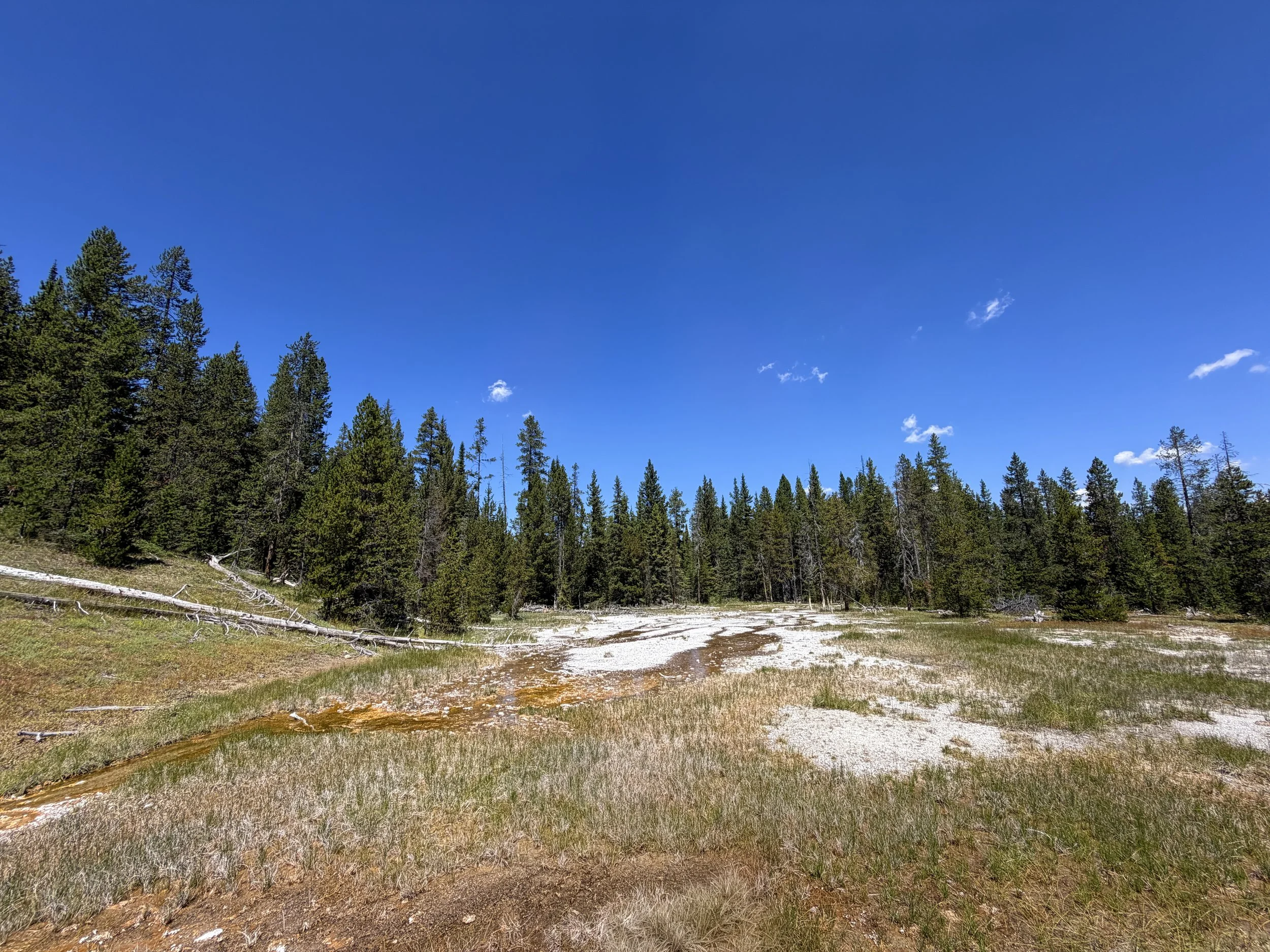 Two Small Geysers Lone Star Geyser Trail Yellowstone National Park Wyoming