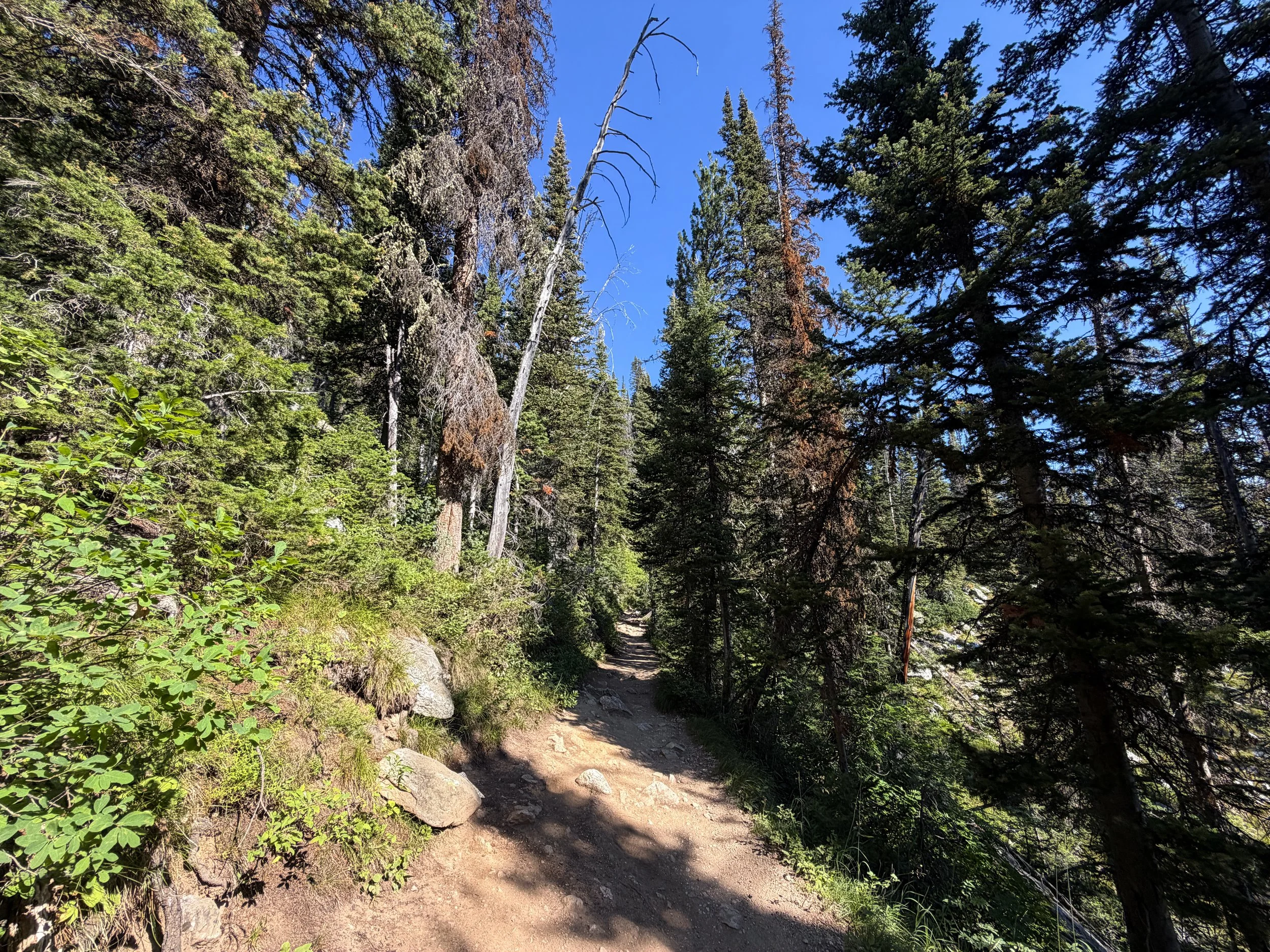Delta Lake Trail via Lupine Meadows Grand Teton National Park Wyoming