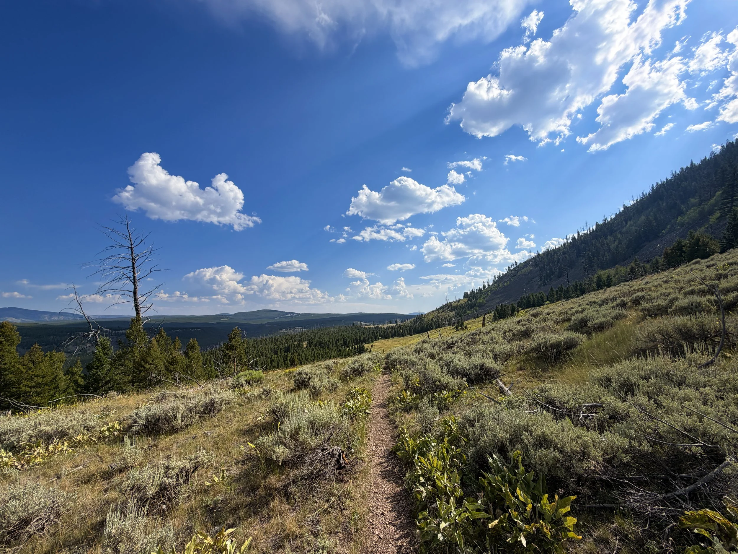 Bunsen Peak Trail Yellowstone National Park Wyoming