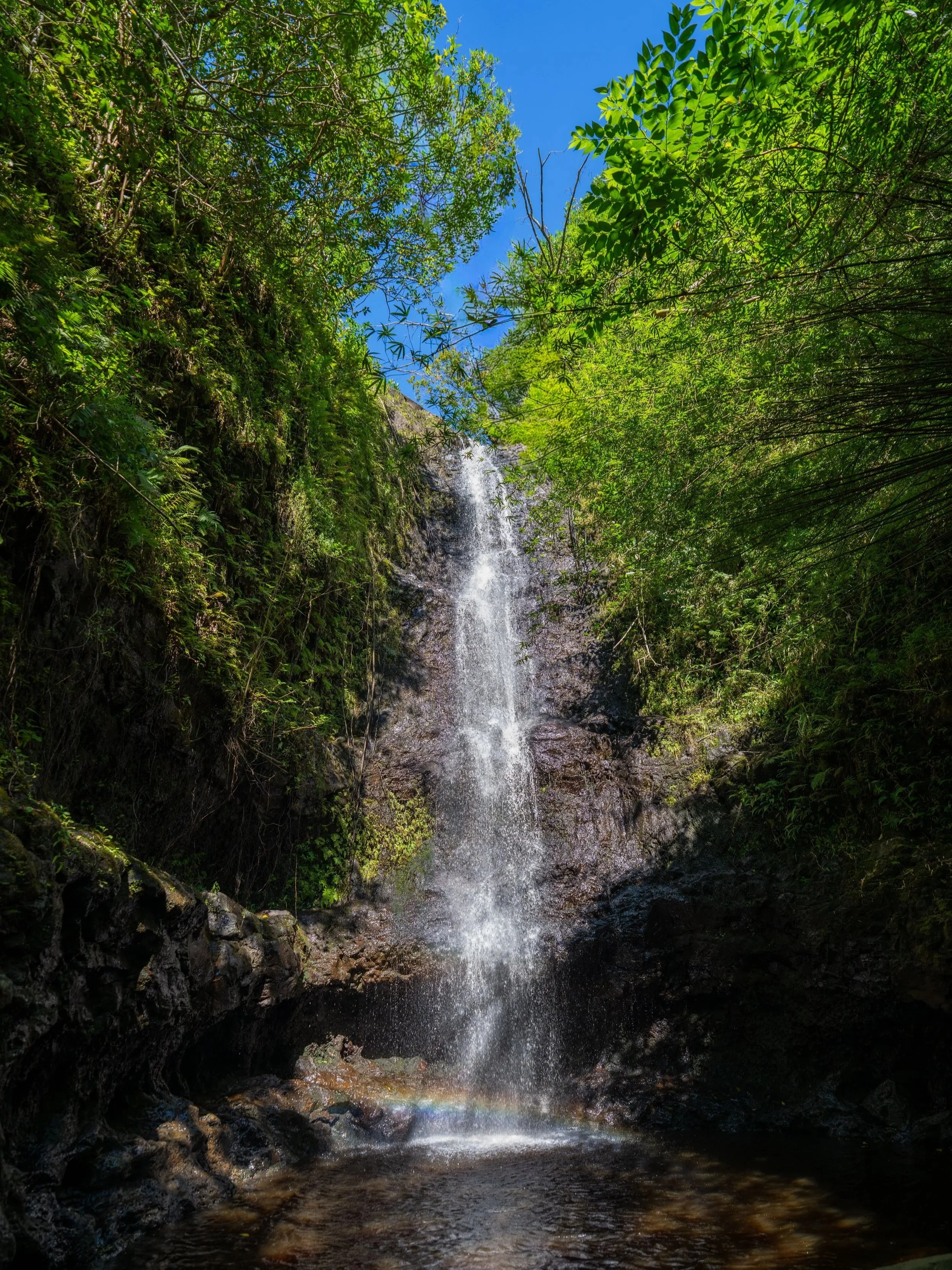 Waterfalls Kaau Crater Trail Oahu Hawaii