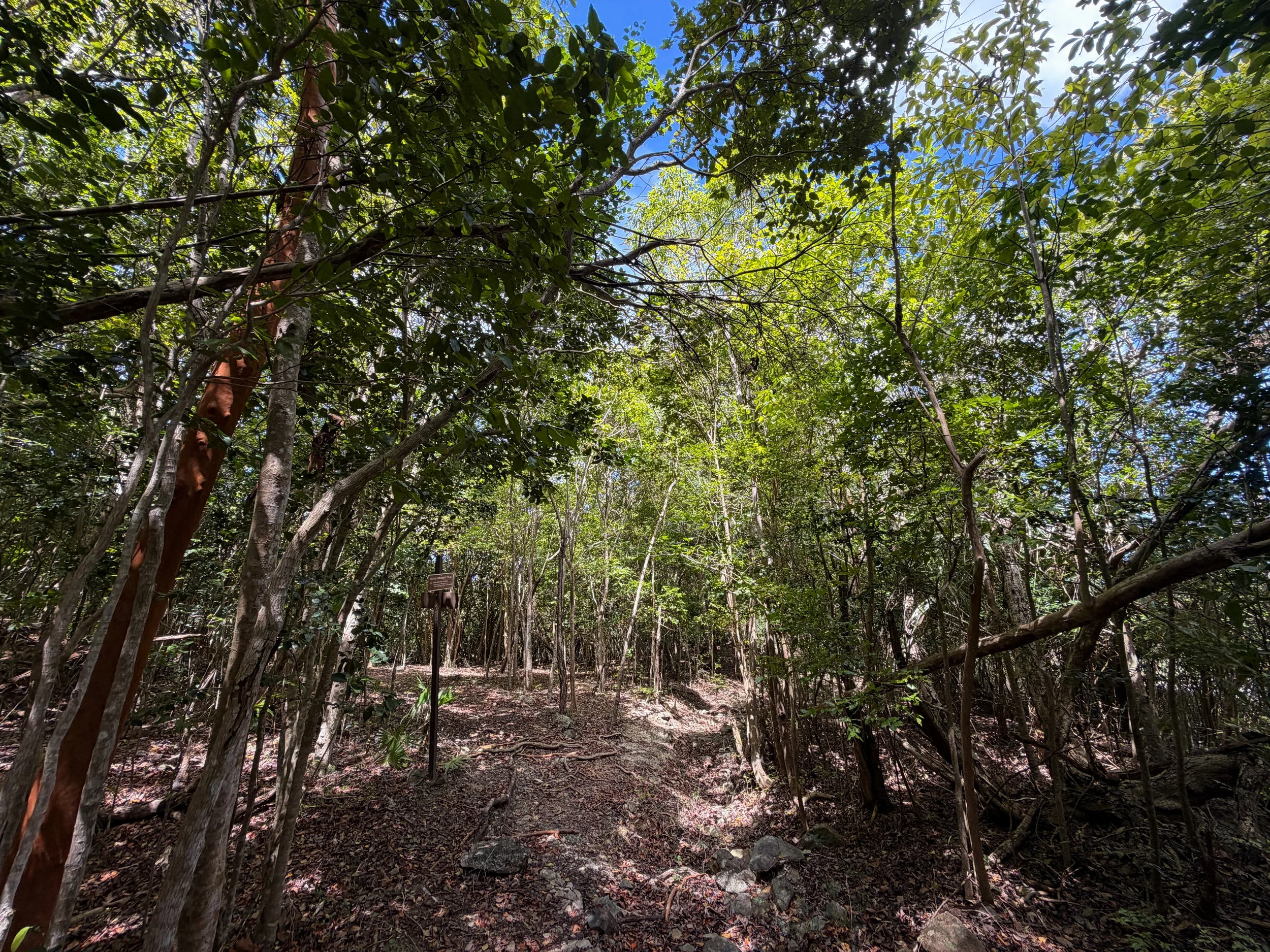 Water Catchment Trail Virgin Islands National Park