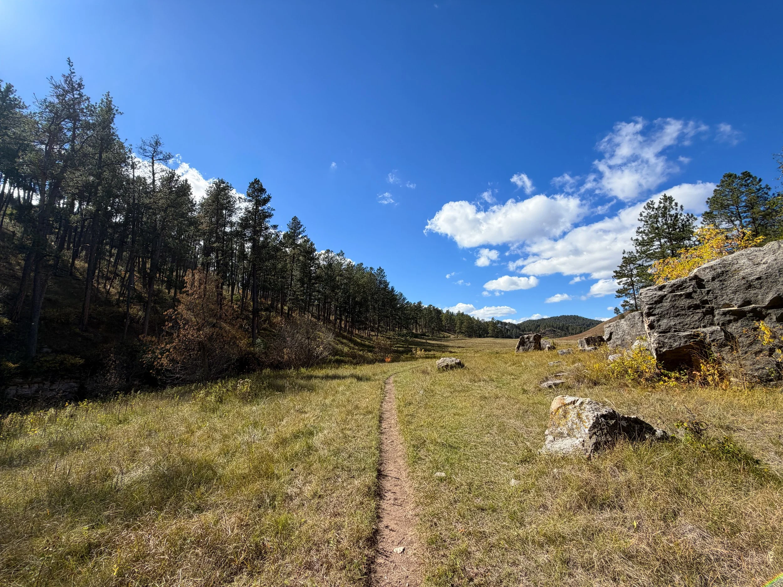 Lookout Point Loop Trail Wind Cave National Park South Dakota