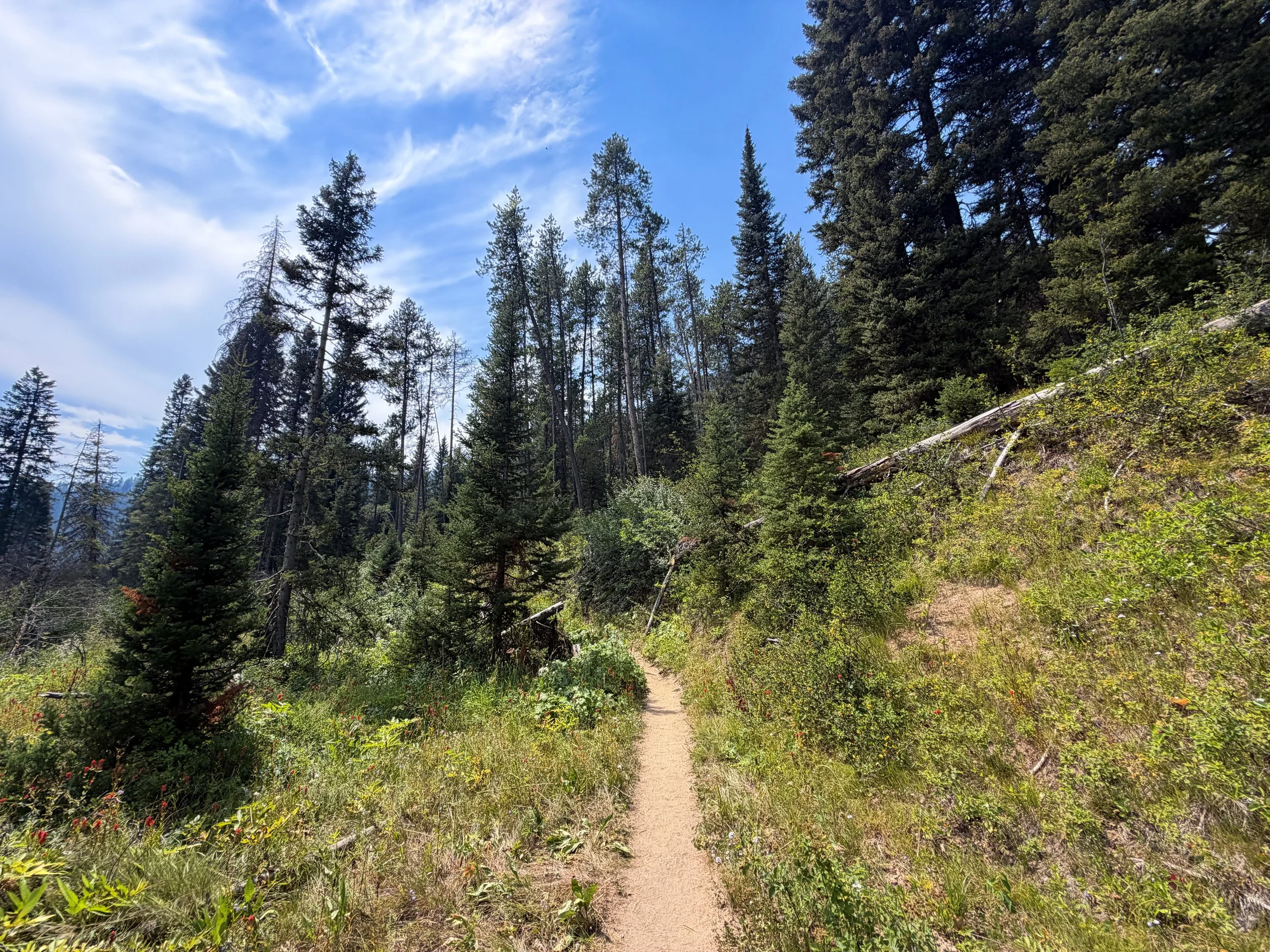 Phelps Lake Loop Trail Grand Teton National Park Wyoming