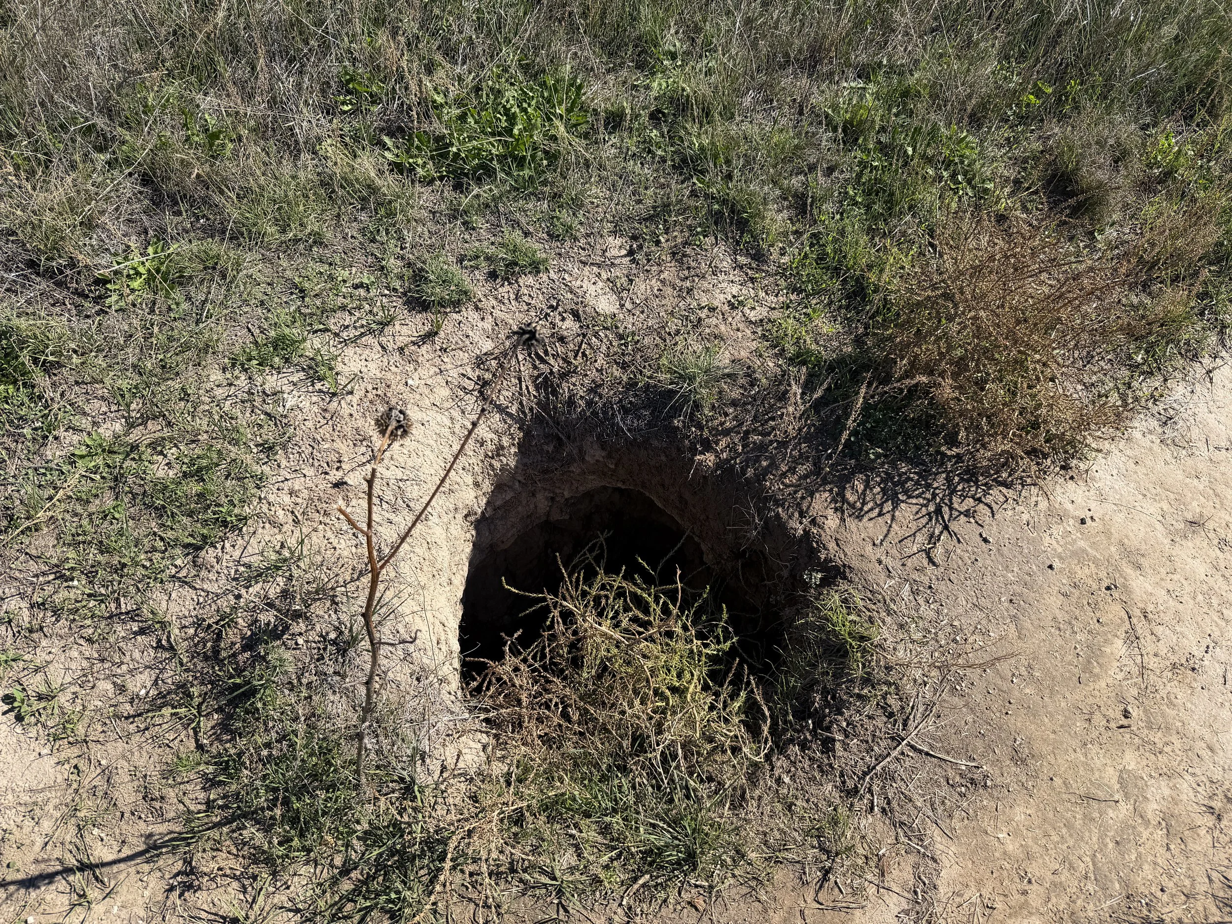 Castle Trail to Medicine Root Trail Badlands National Park South Dakota