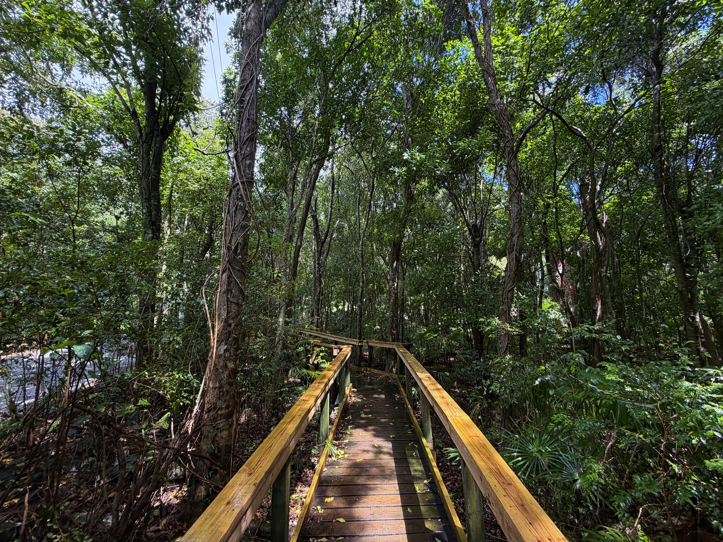 Cinnamon Bay Loop Trail Virgin Islands National Park
