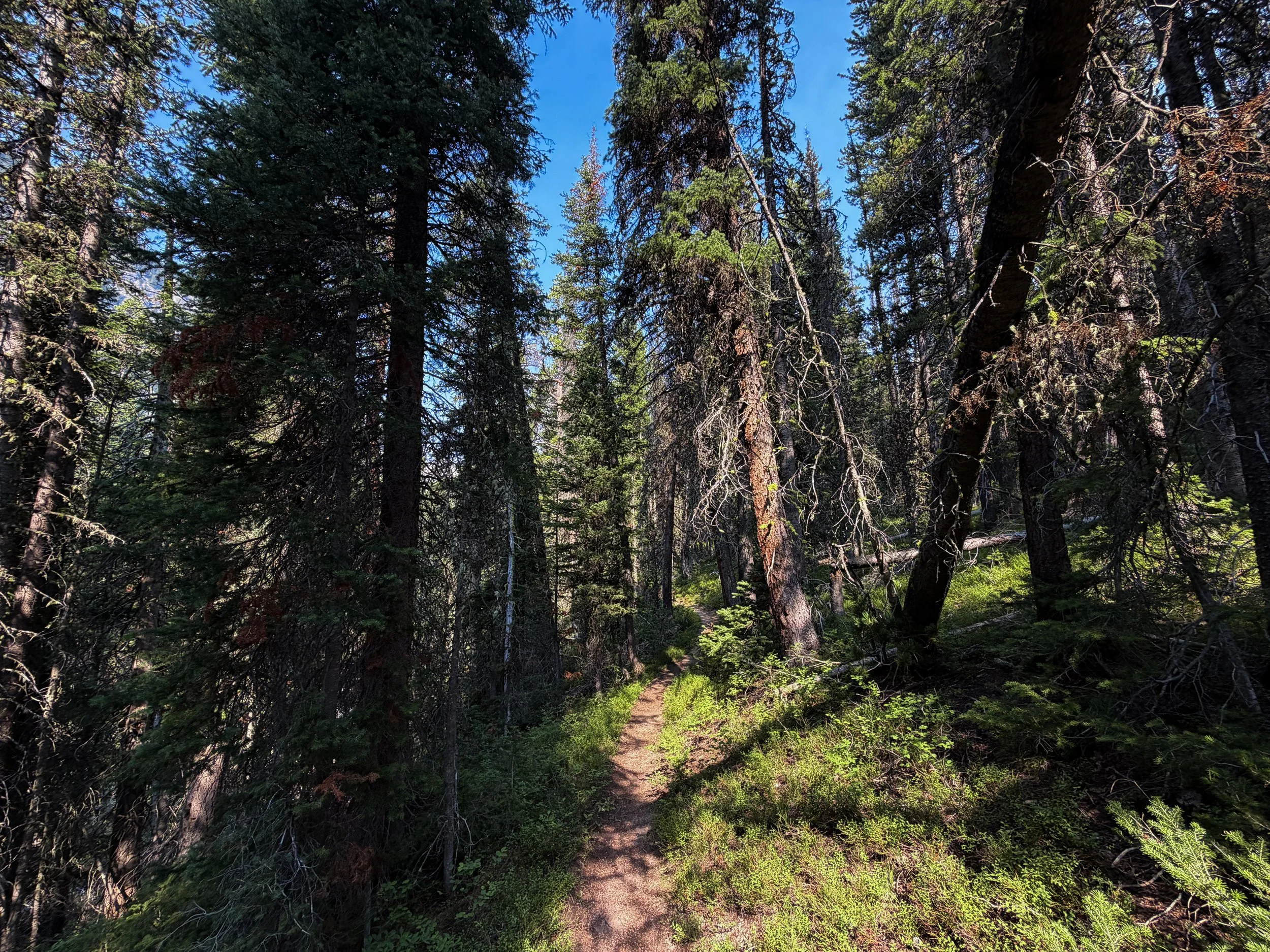 East Rosebud Trail The Beaten Path Beartooth Mountains Montana