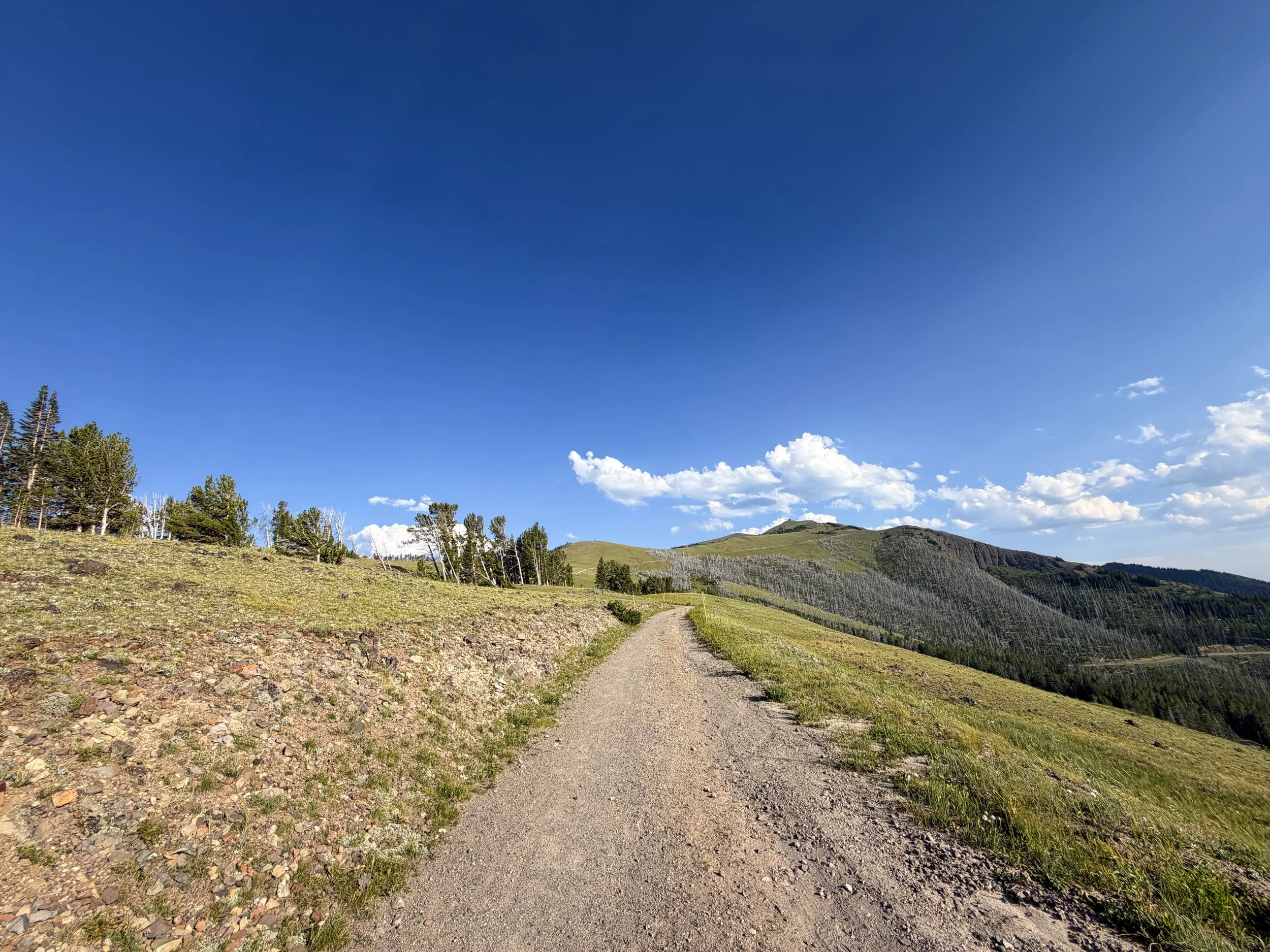 Mount Washburn Trail via Chittenden Road Yellowstone National Park Wyoming