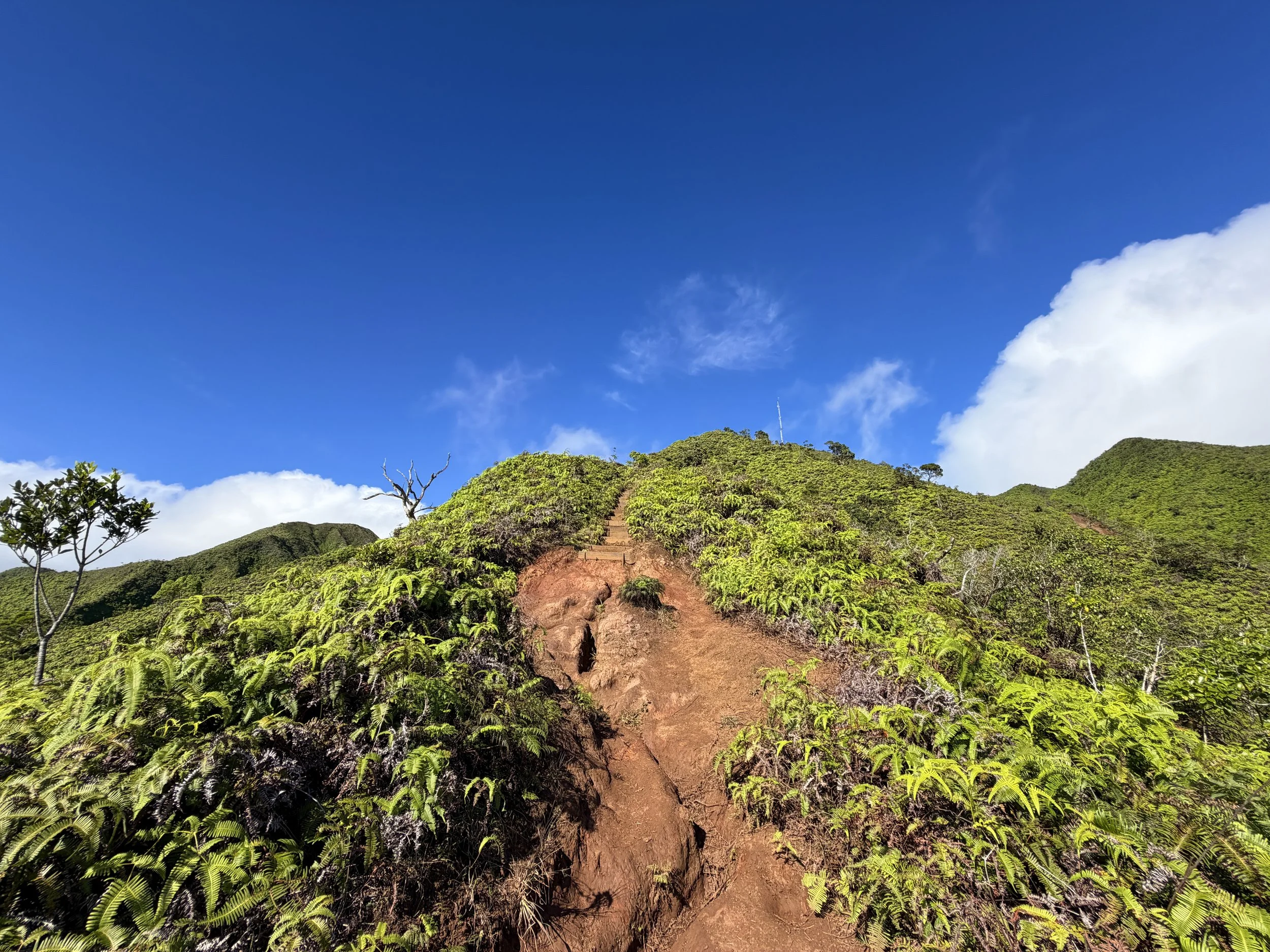 Wiliwilinui Ridge Trail Stairs Oahu Hawaii