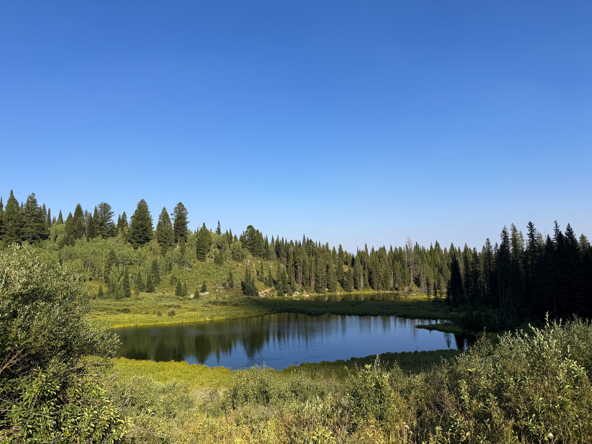 Moose Ponds Grand Teton National Park Wyoming