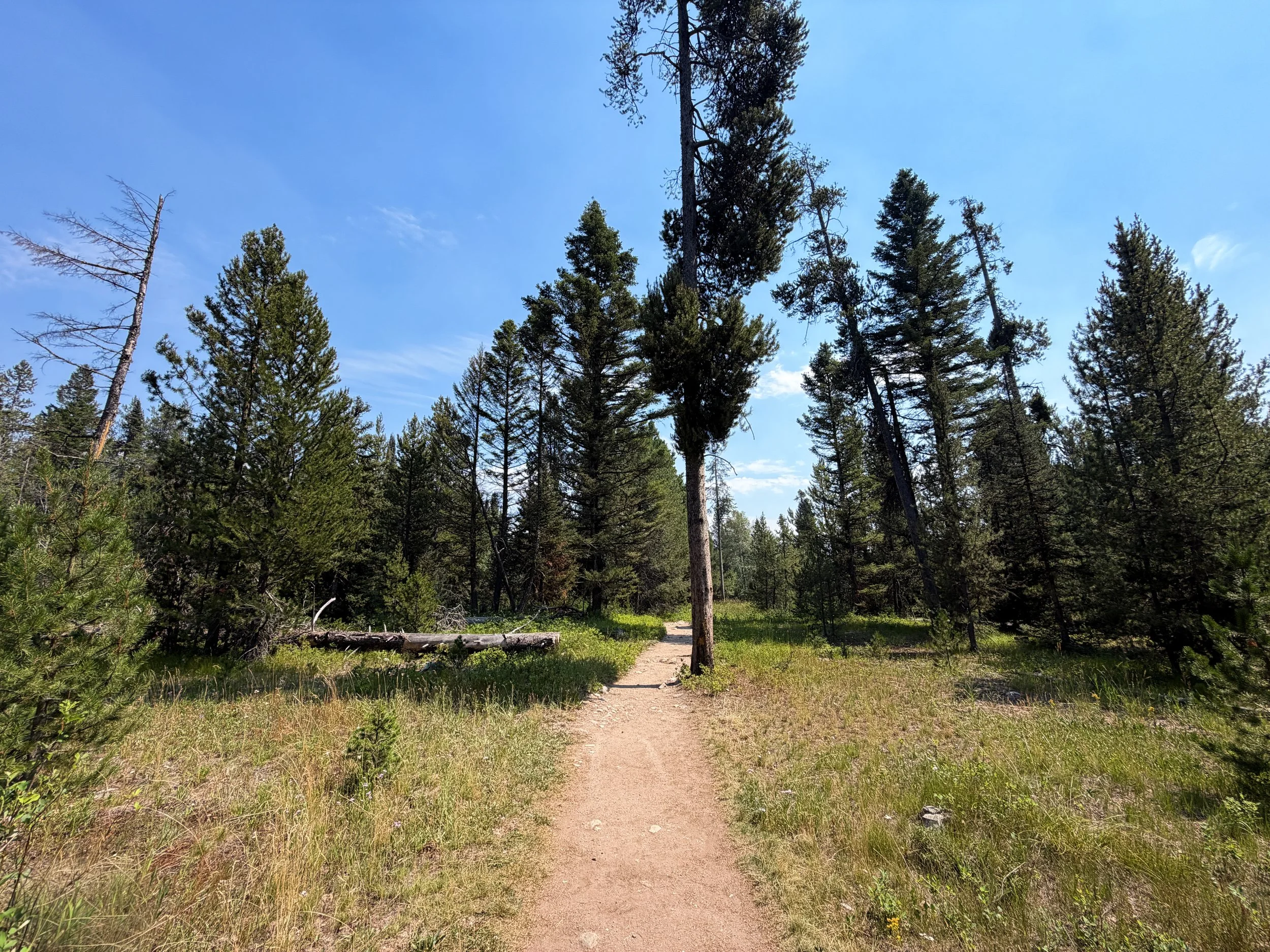 Phelps Lake Loop Trail Grand Teton National Park Wyoming