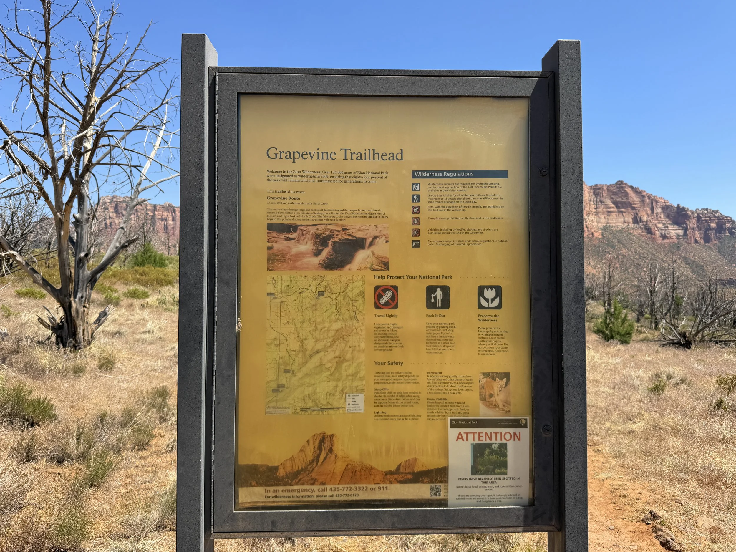 Grapevine Trailhead Zion National Park Utah