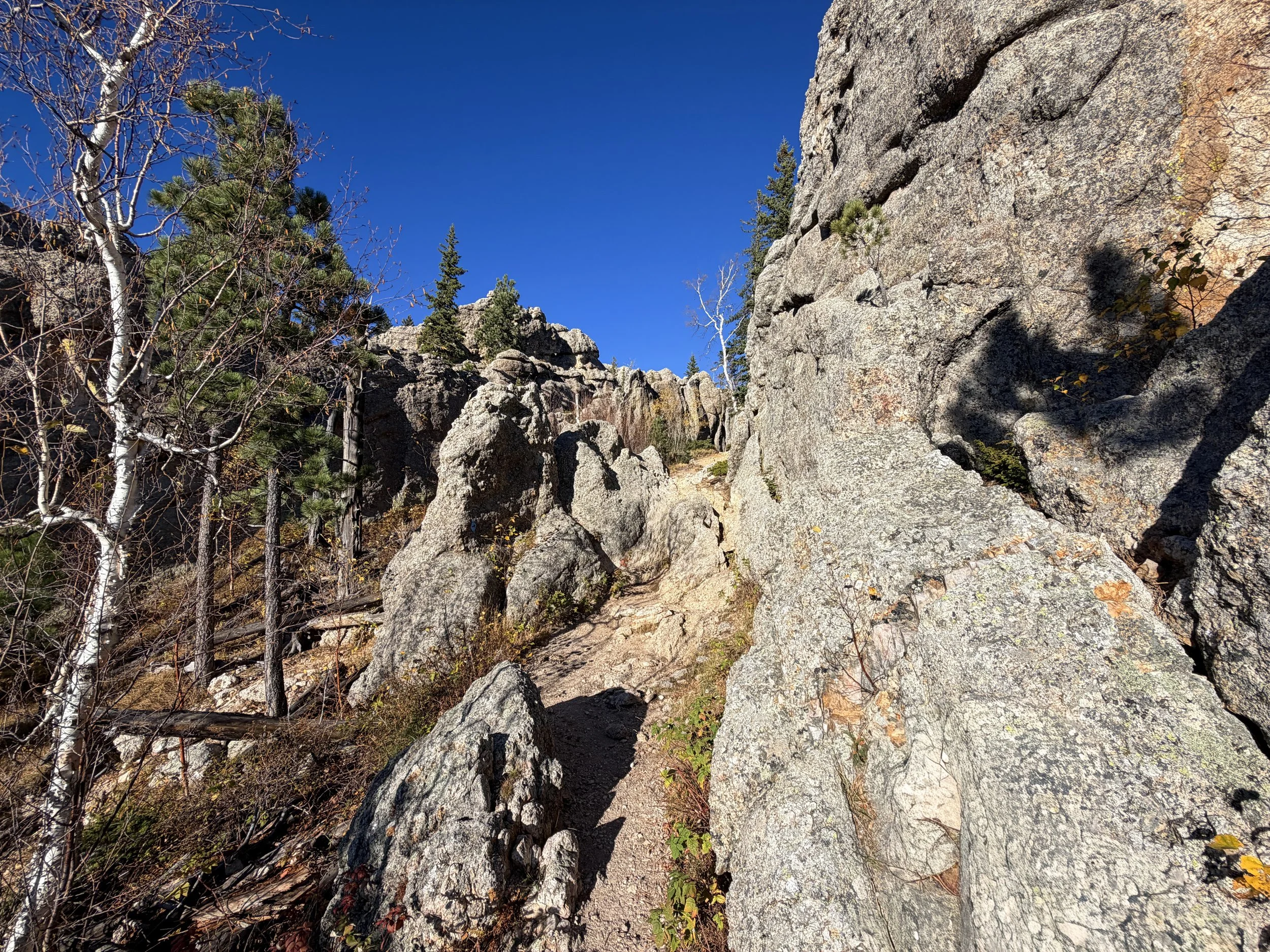Little Devils Tower Trail Custer State Park Black Hills South Dakota