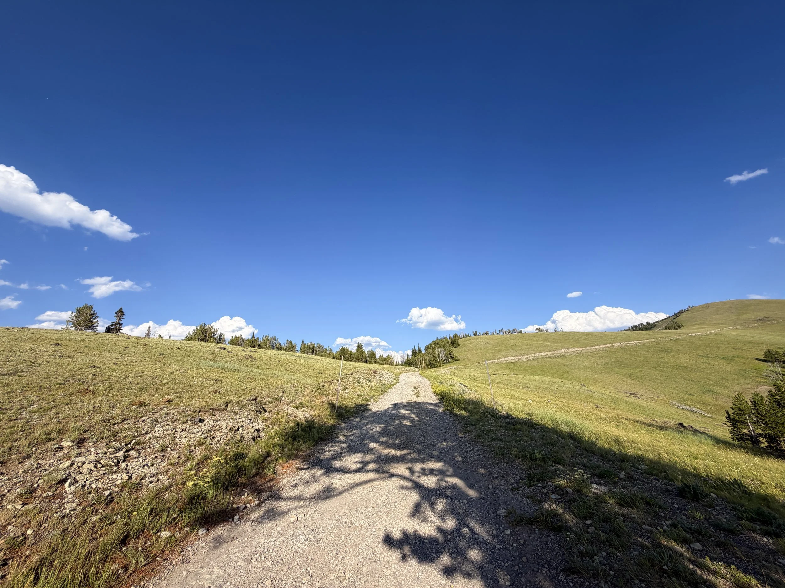 Mount Washburn Trail via Chittenden Road Yellowstone National Park Wyoming