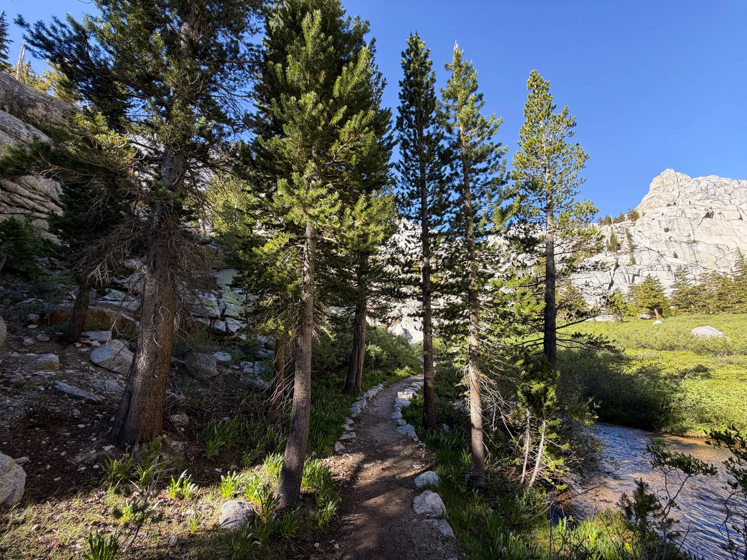 Bighorn Park Meadow Mt. Whitney Trail California