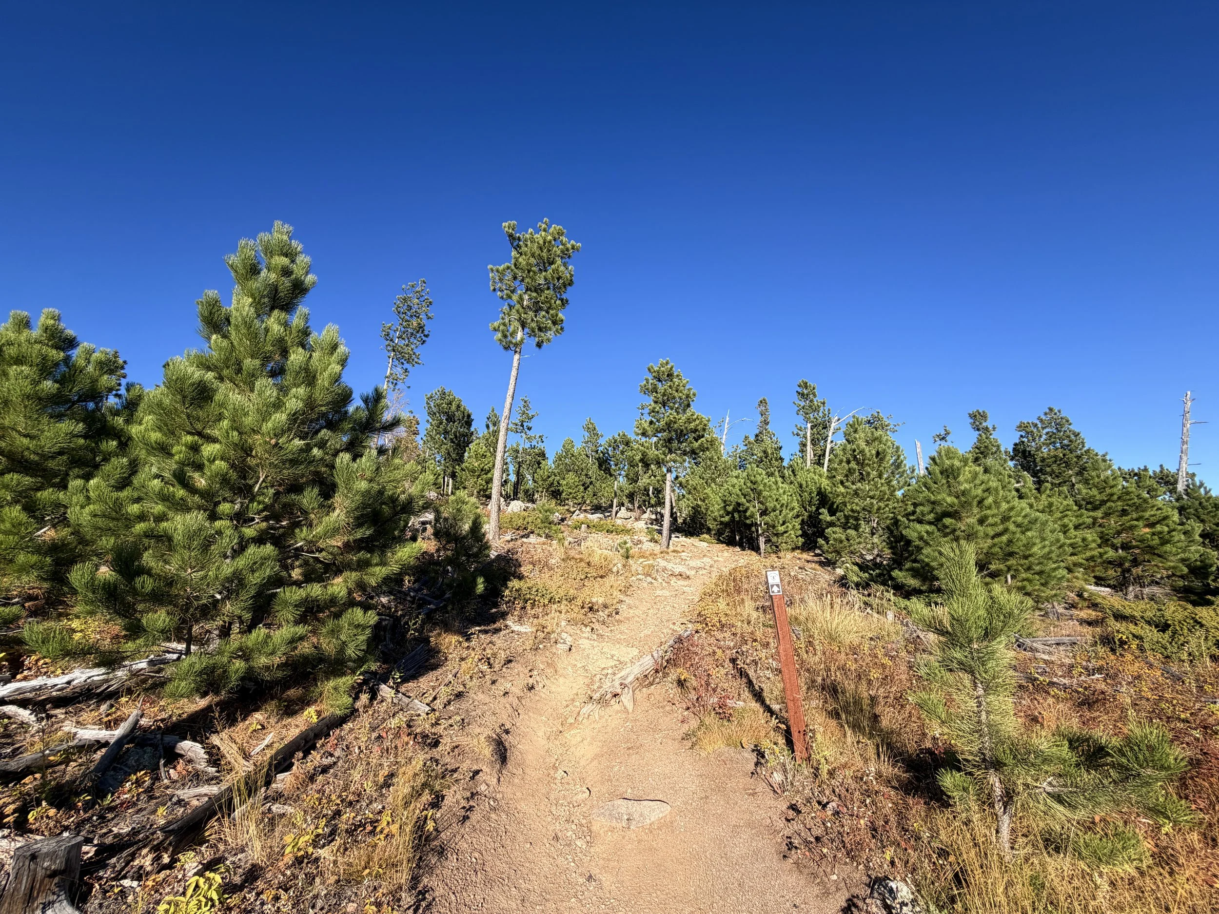 Little Devils Tower Trail Custer State Park Black Hills South Dakota