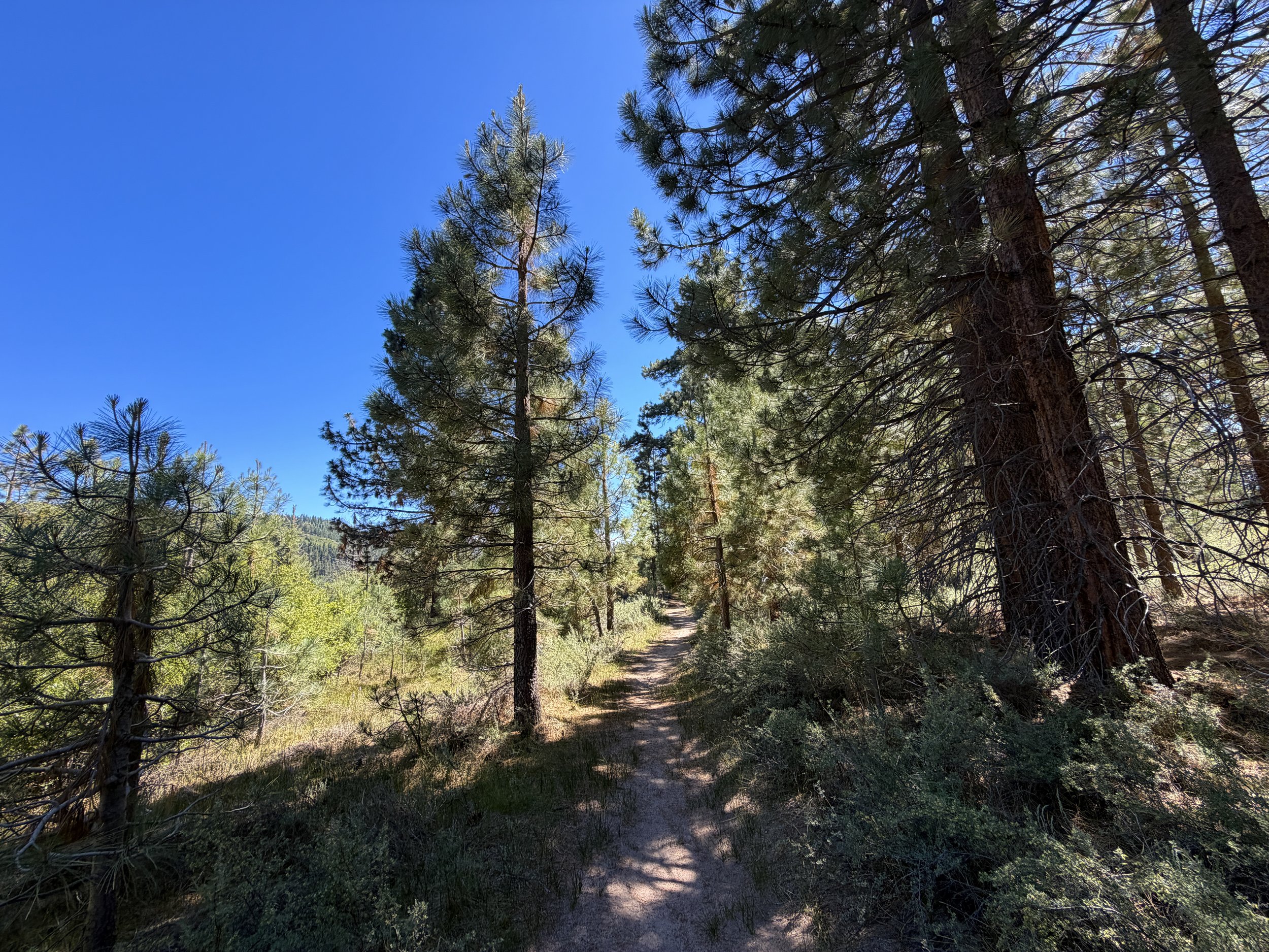 Spooner Lake Loop Trail Lake Tahoe Nevada