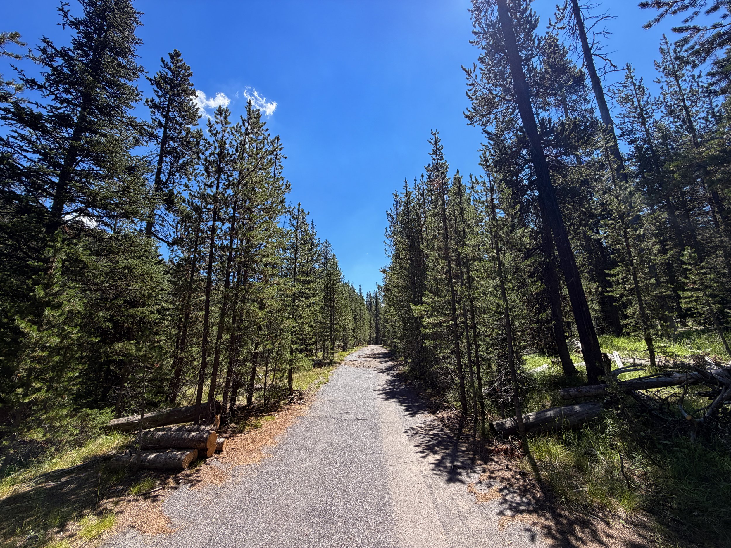 Lone Star Trail Yellowstone National Park Wyoming