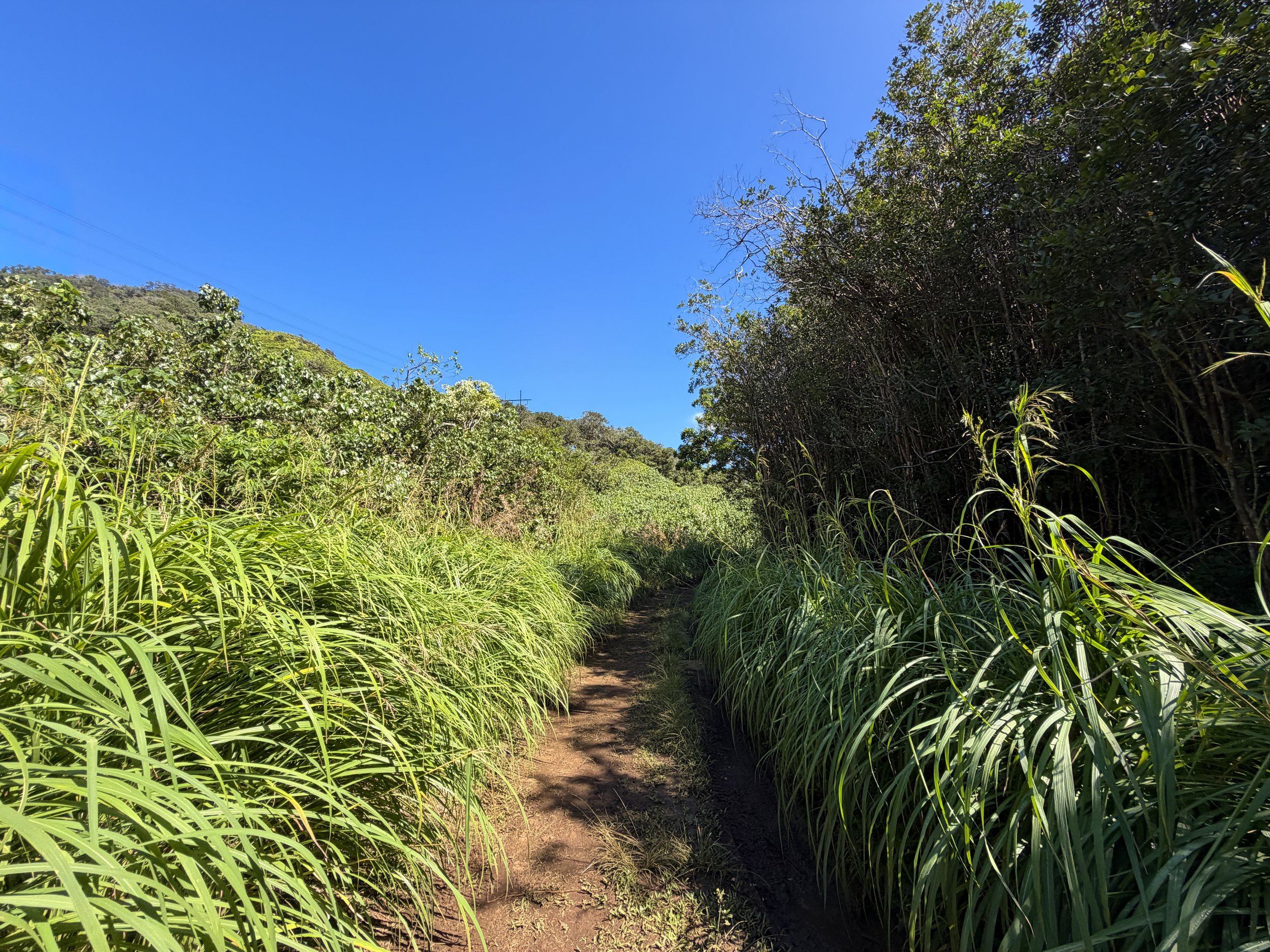 Kulanaahane Trail Oahu Hawaii