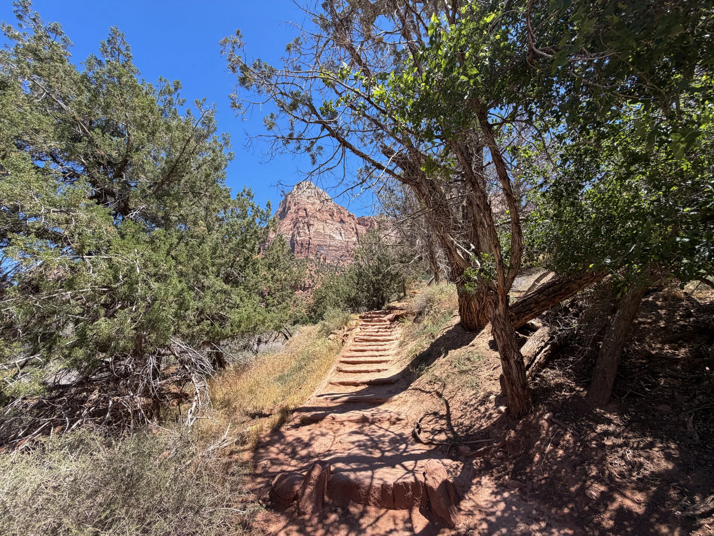 Watchman Trail Zion National Park Utah