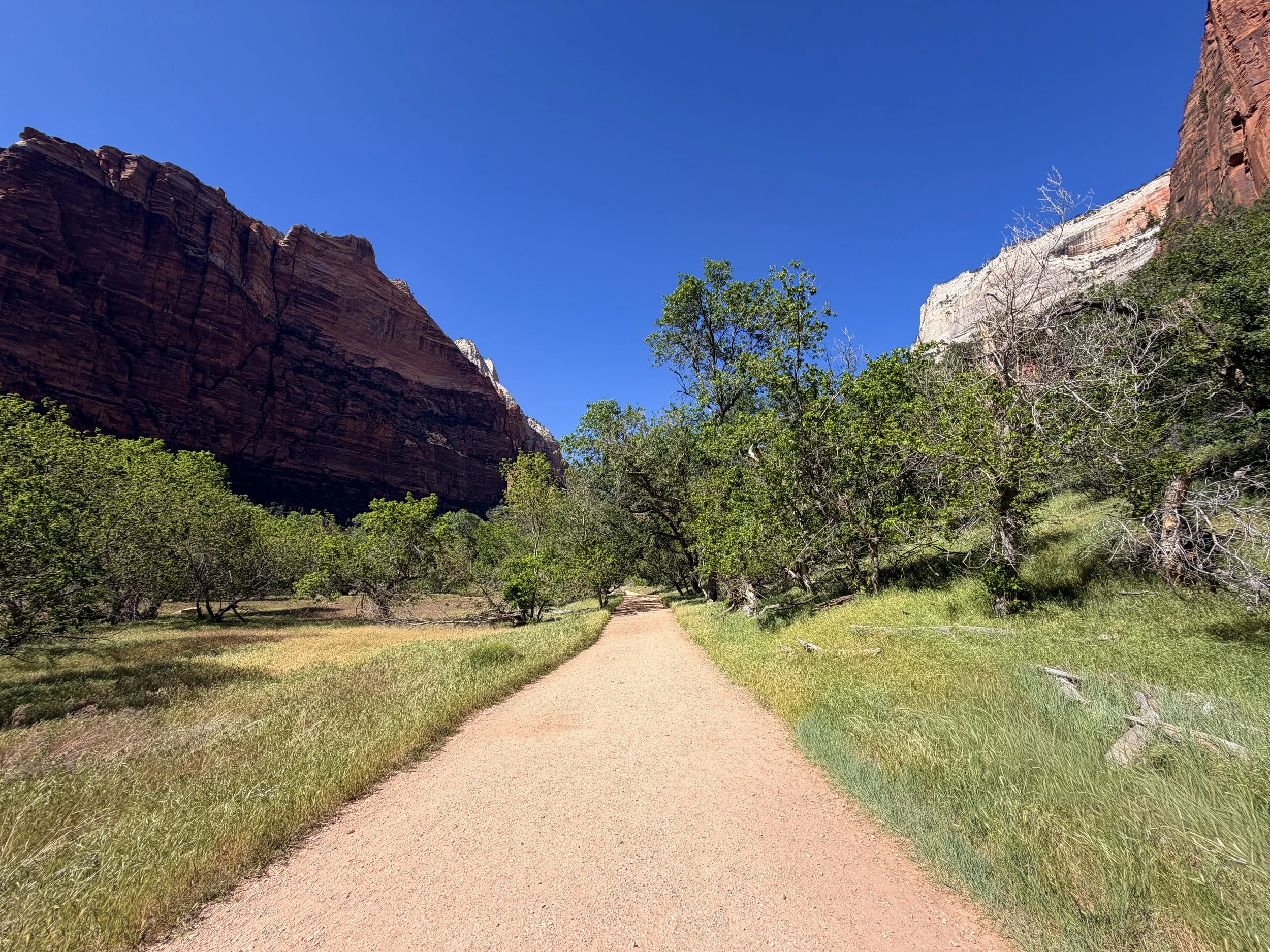 Grotto Trail Zion National Park Utah