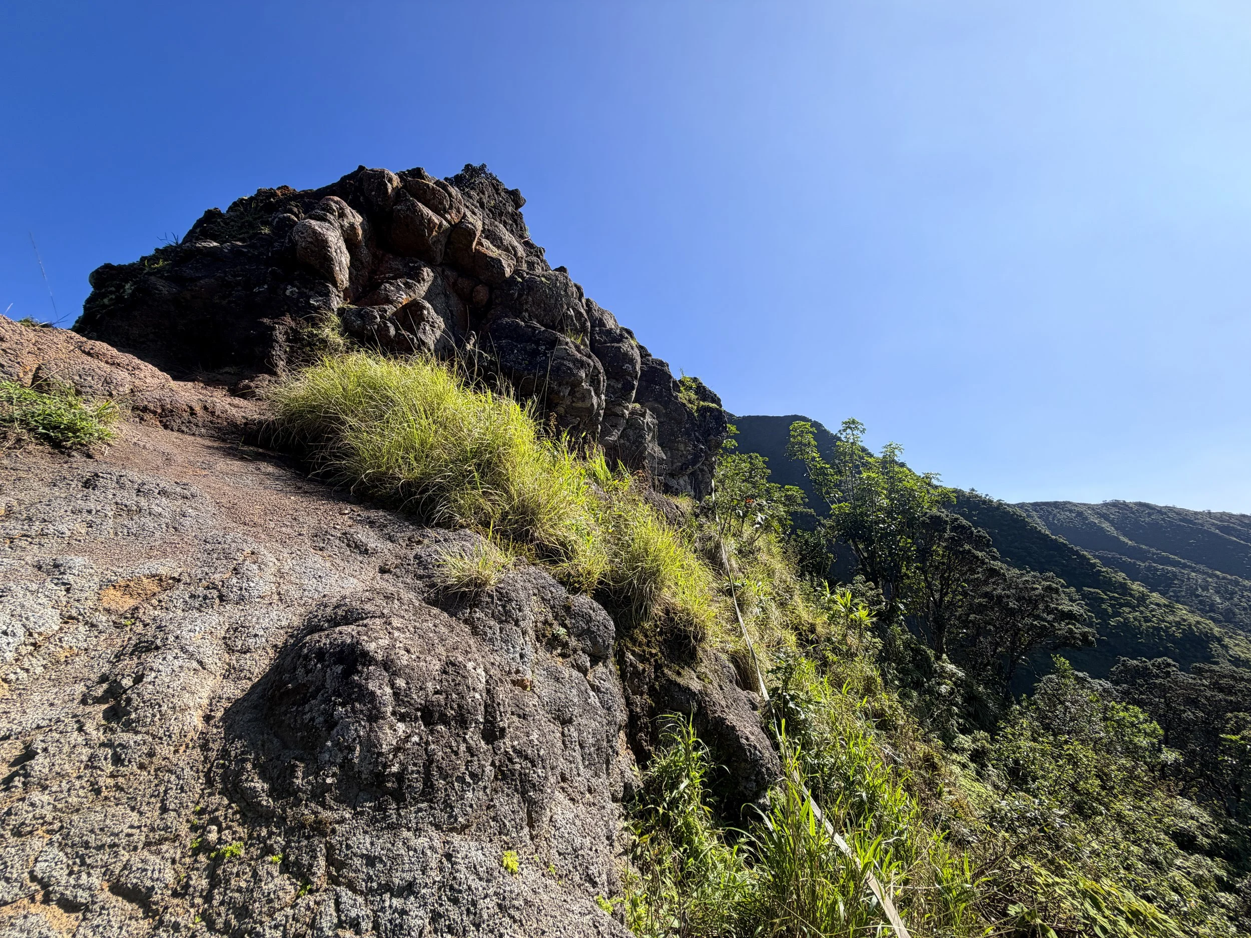 Moanalua Saddle Ropes Koolau Summit Trail Oahu Hawaii