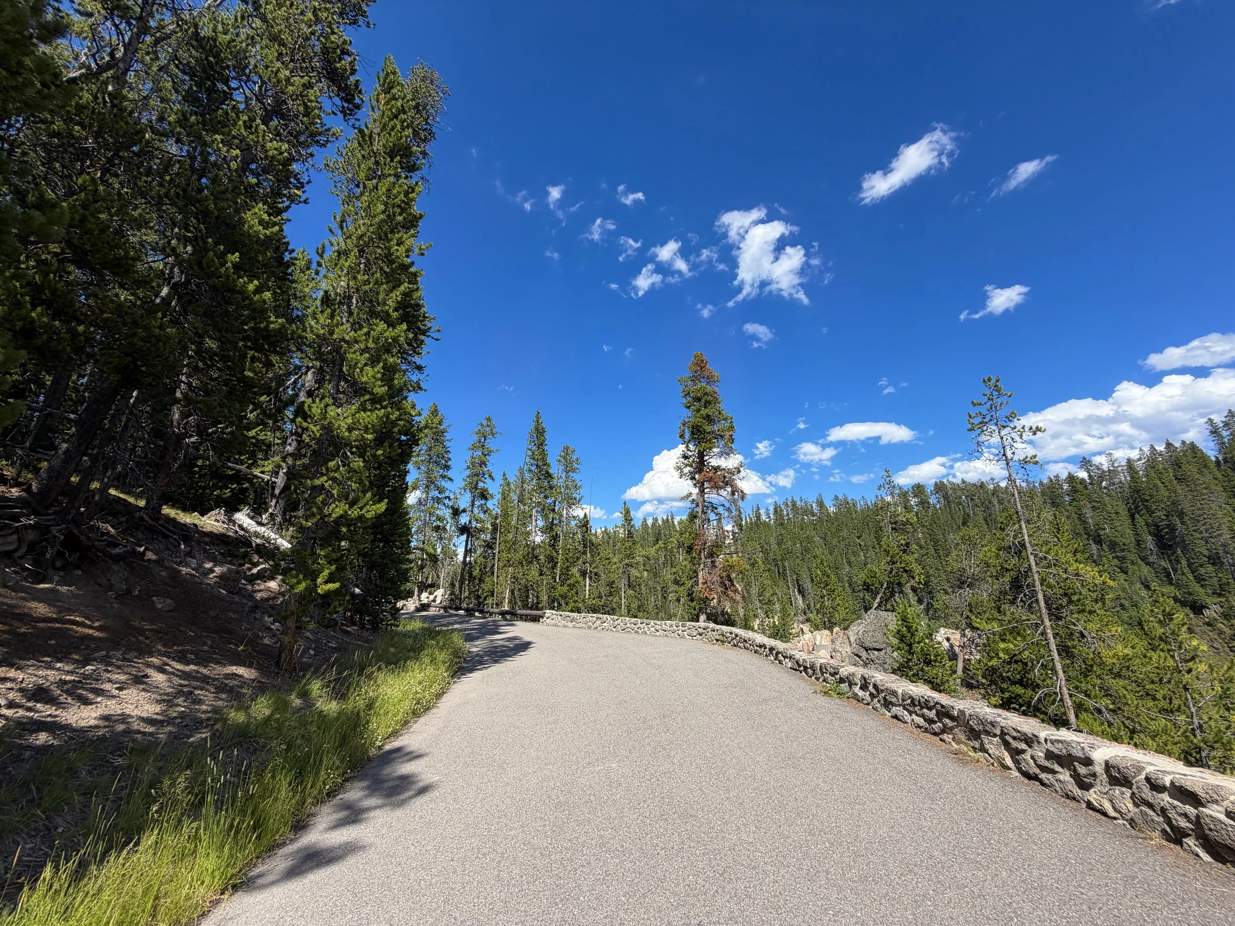 North Rim Trail Yellowstone National Park Wyoming