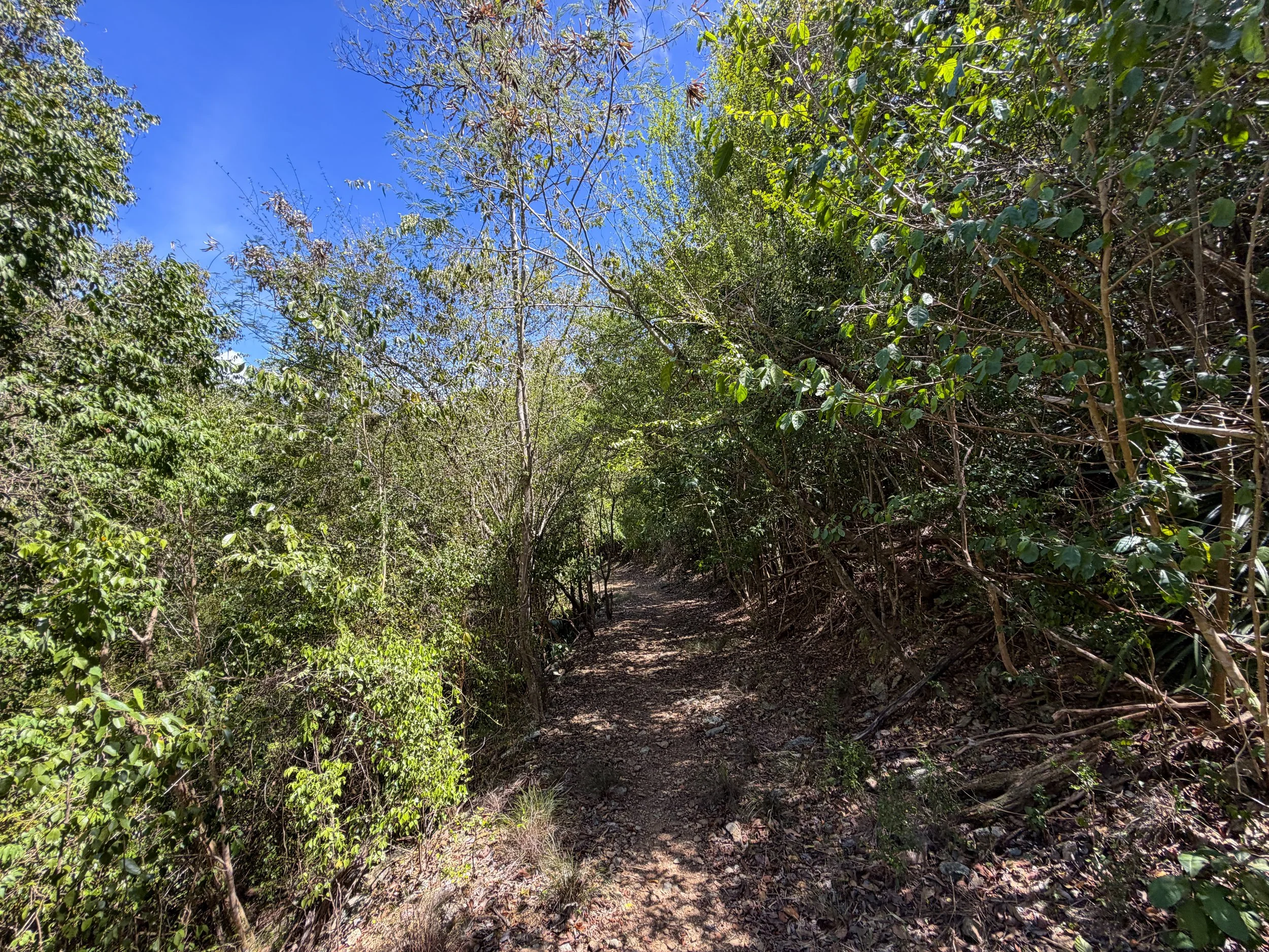 Lameshur Bay Trail Virgin Islands National Park