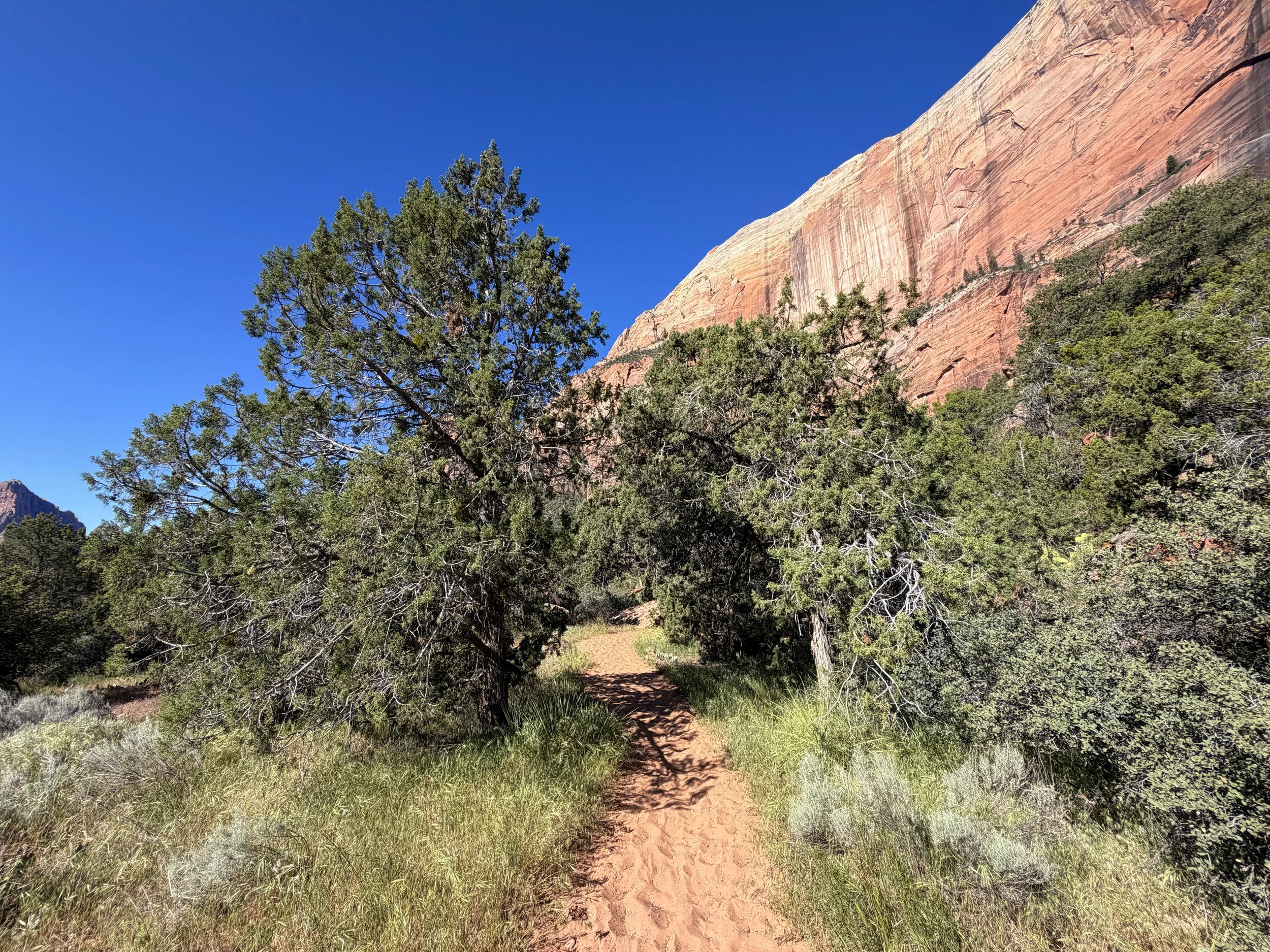 Sand Bench Loop Hike Zion National Park Utah