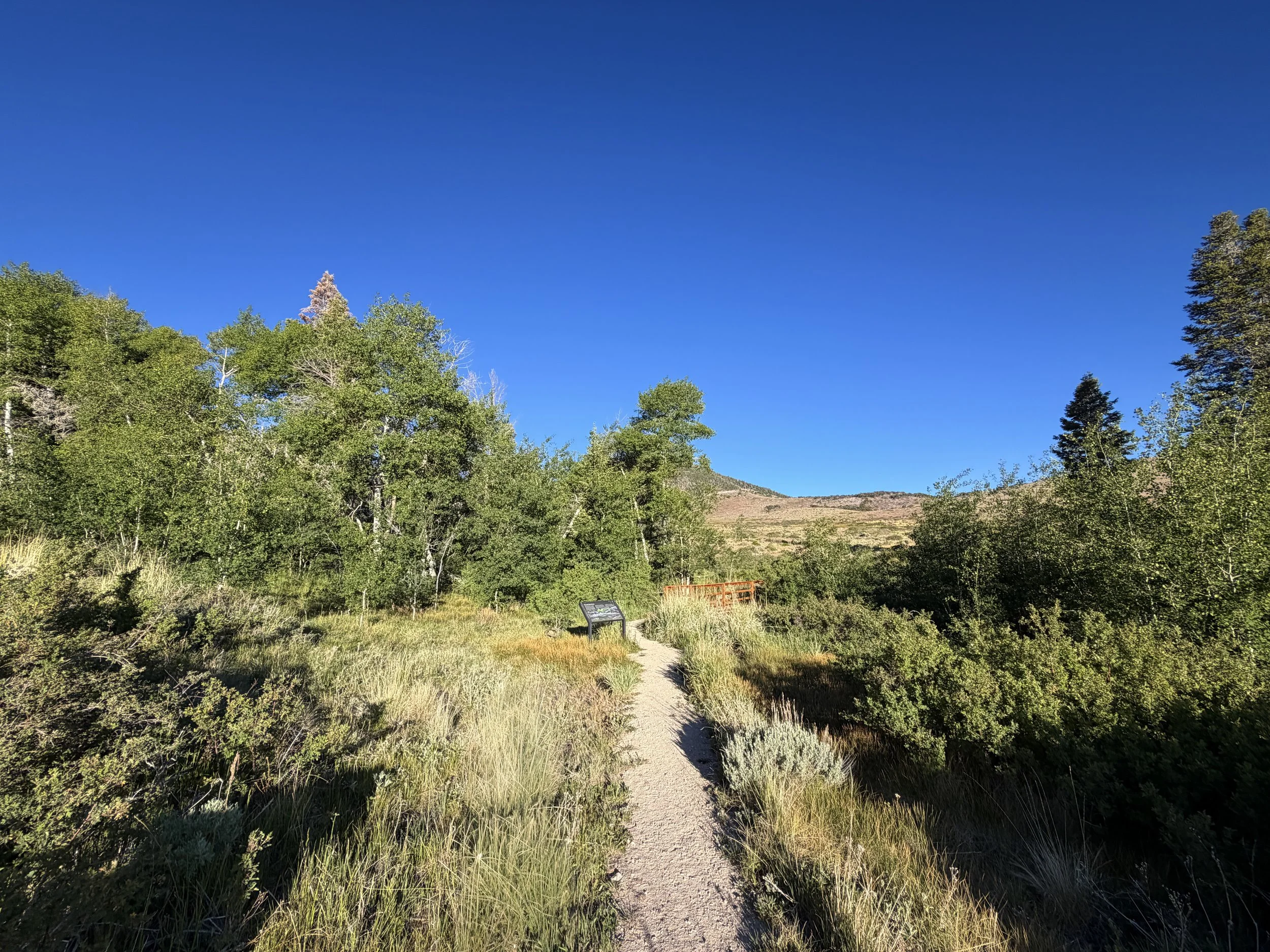 Upper Strawberry Trail Great Basin National Park Nevada
