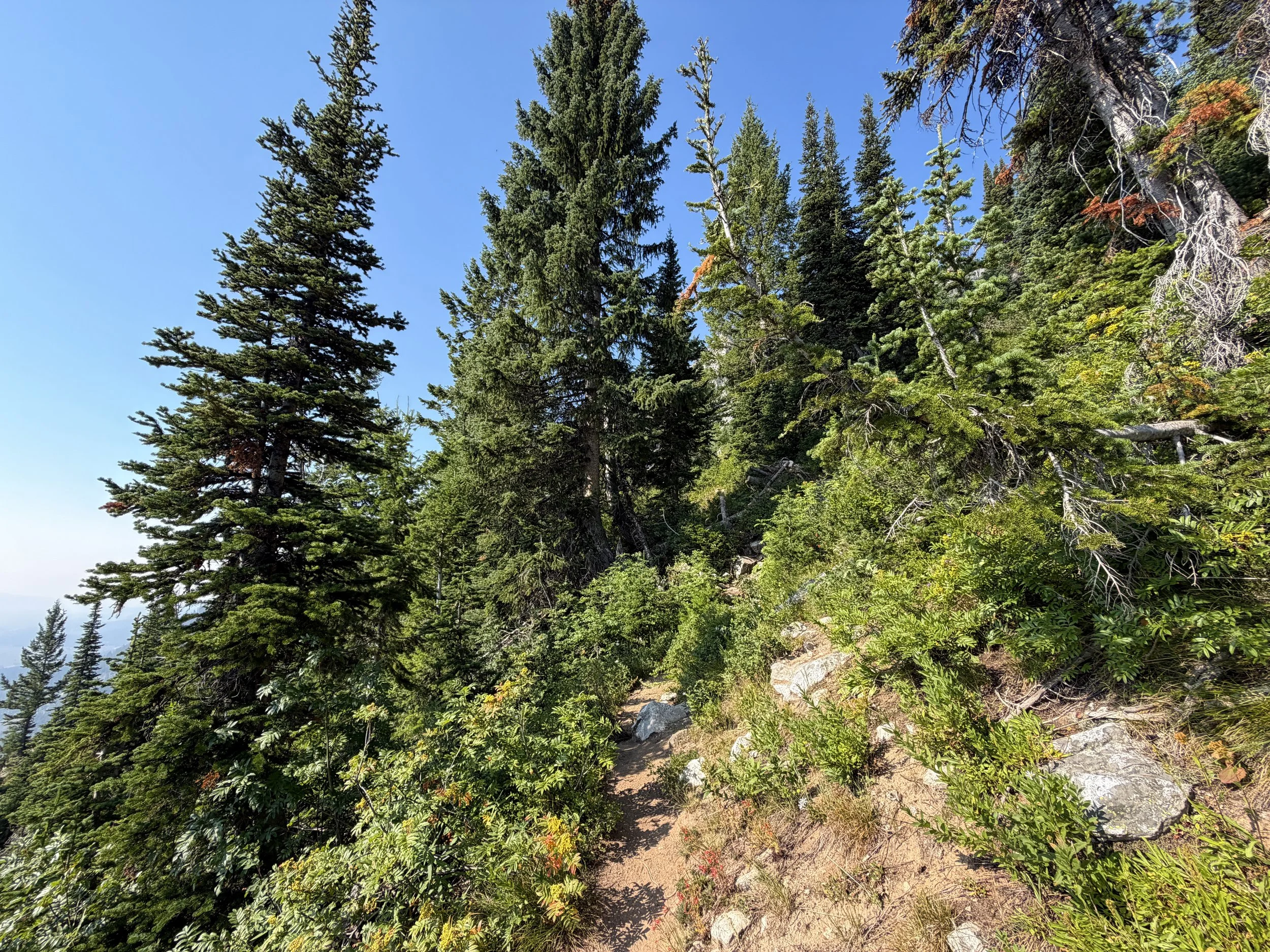 Lake of the Crags Trail via Jenny Lake Grand Teton National Park Wyoming