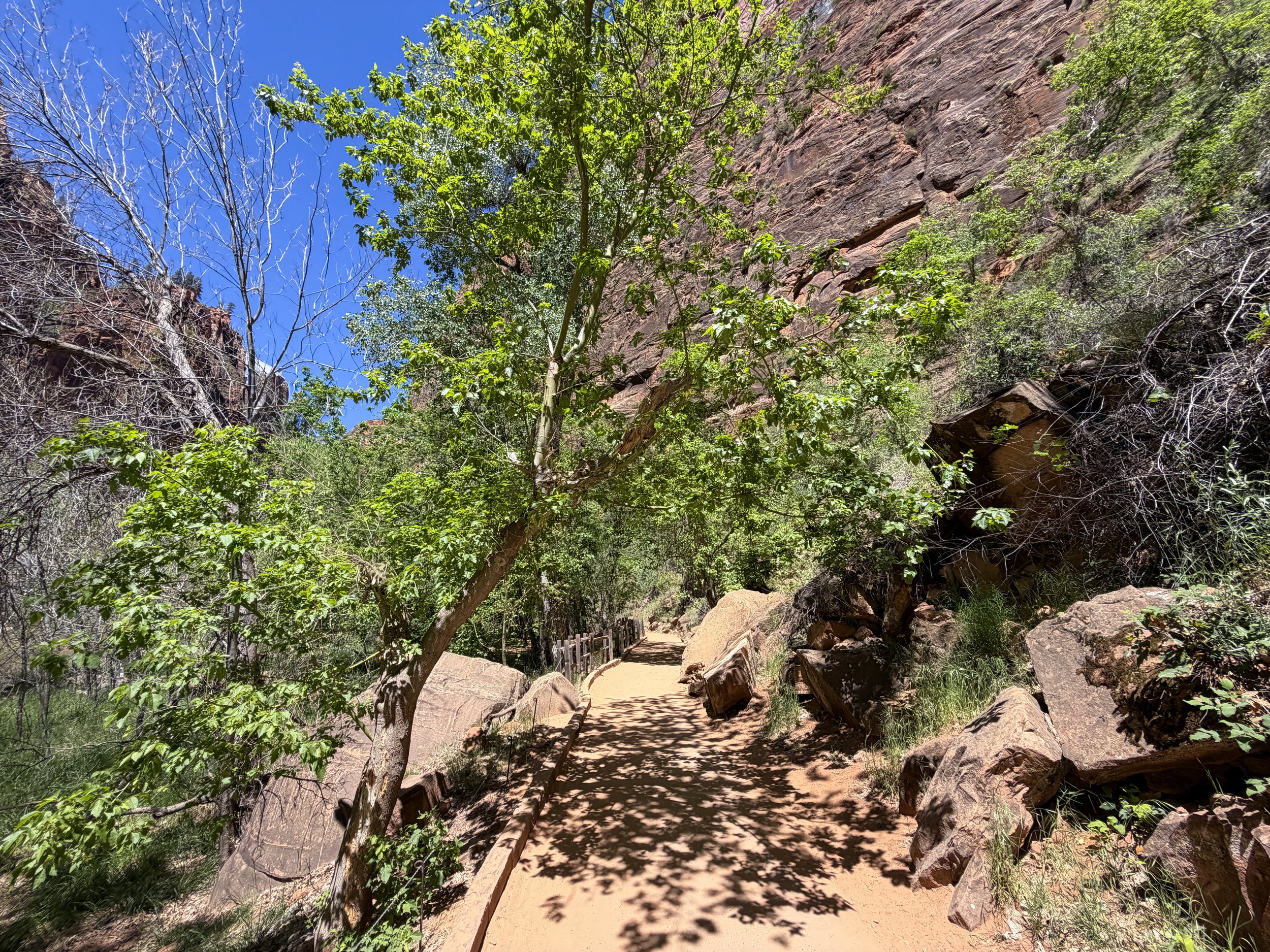 Riverside Walk Trail Zion National Park Utah