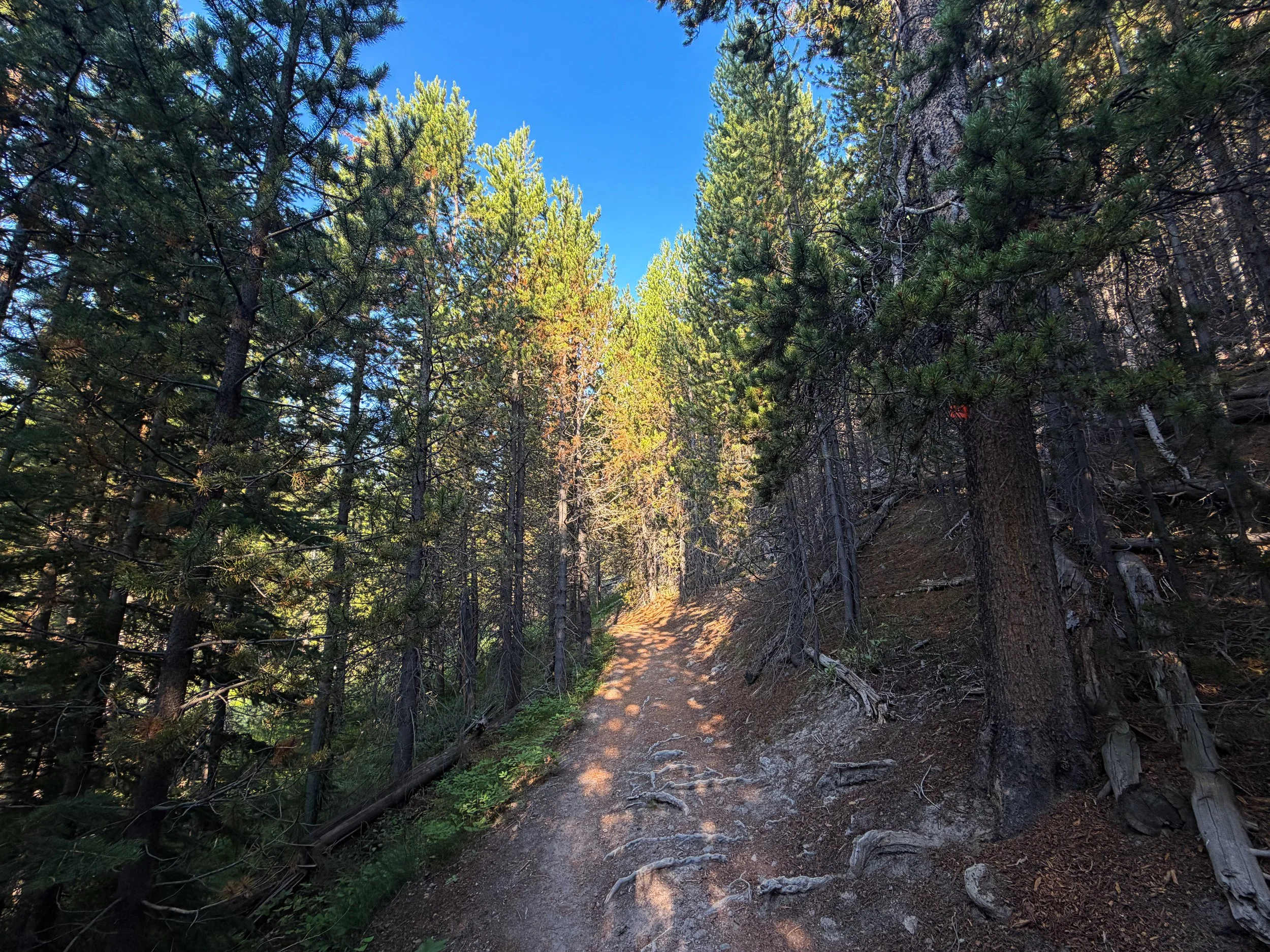 Mystic Falls Loop Trail Yellowstone National Park Wyoming