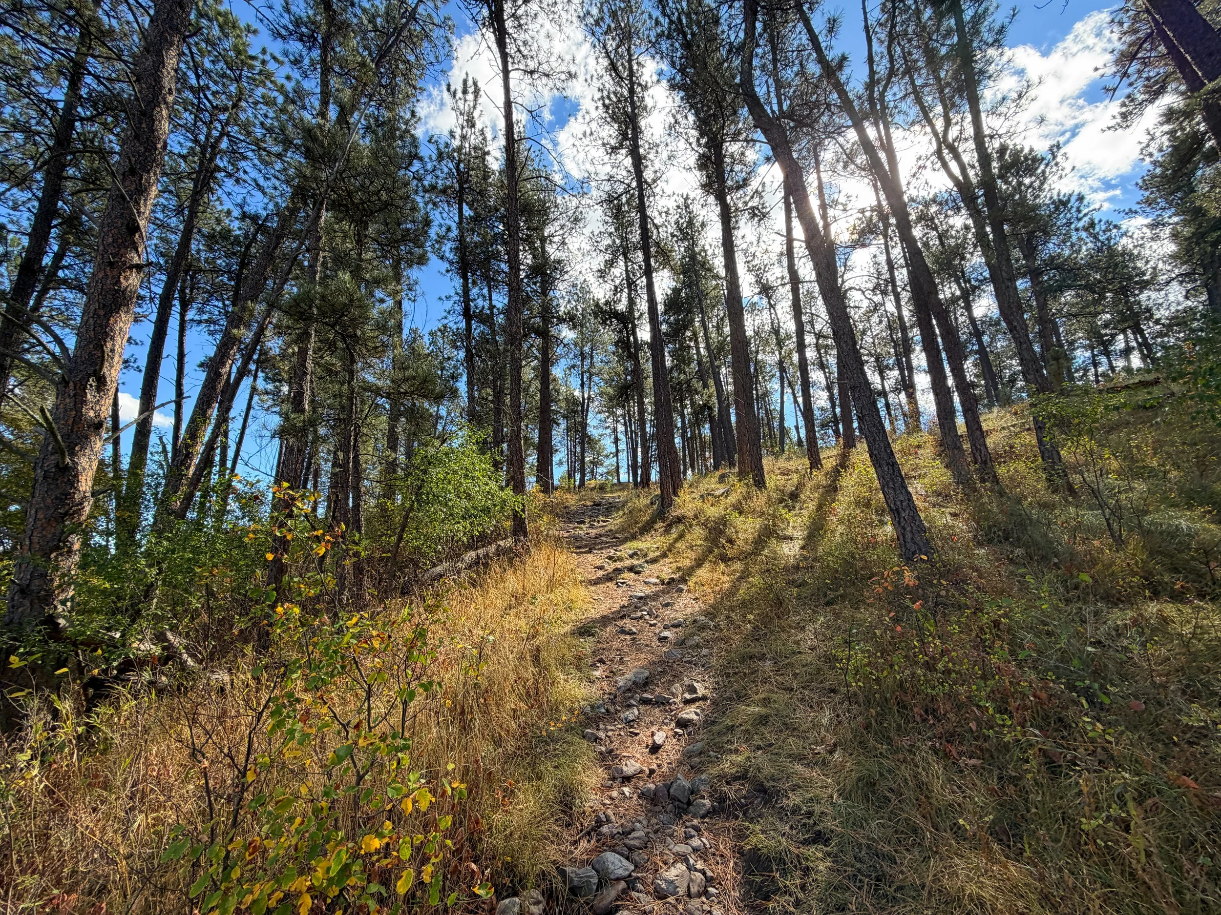 Lookout Point Loop Trail Wind Cave National Park South Dakota