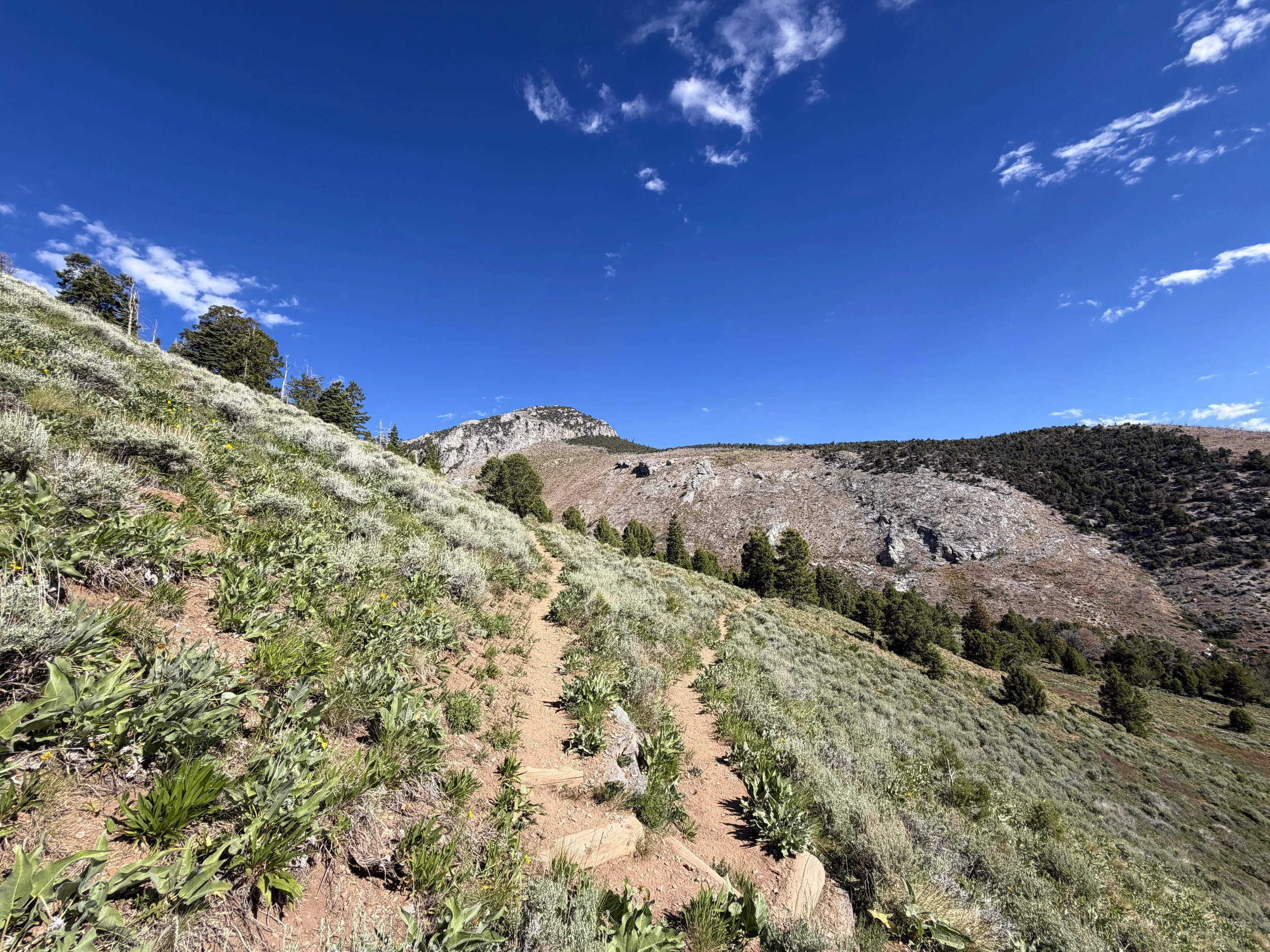 Lexington Arch Trail Great Basin National Park Nevada