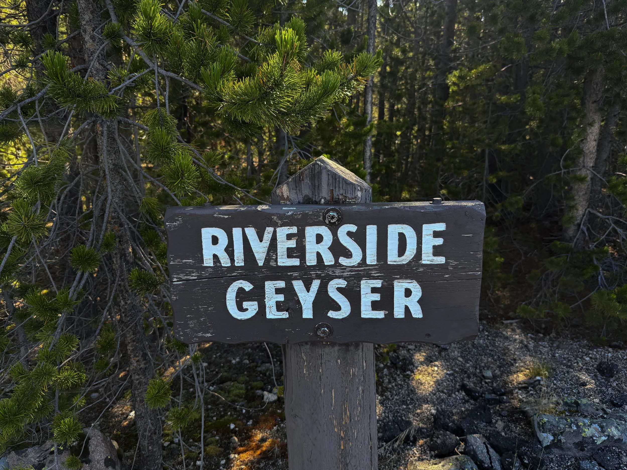 Riverside Geyser Yellowstone National Park Wyoming