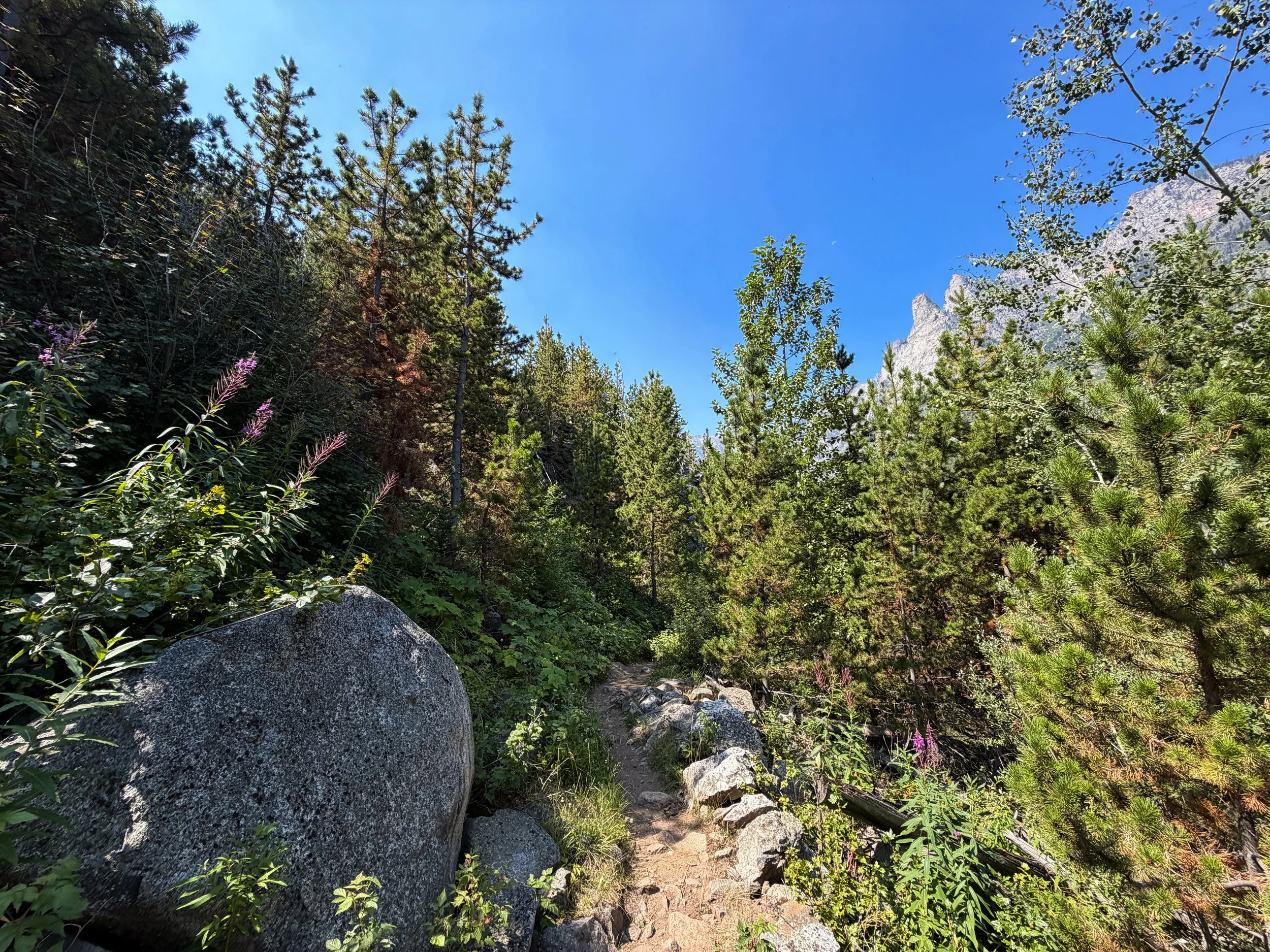 Beaten Path Hike Beartooth Mountains Montana