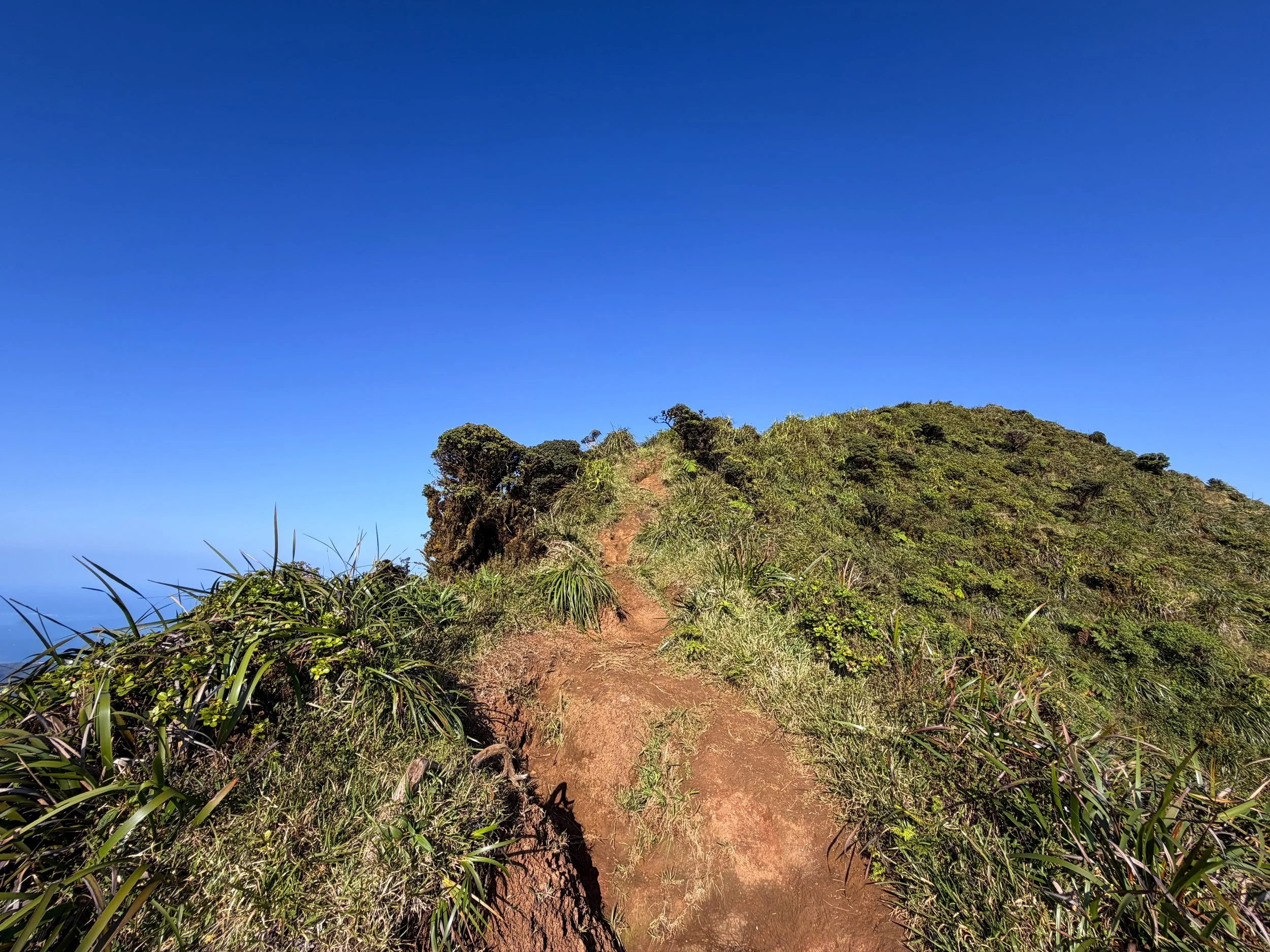 Moanalua Middle Ridge Trail to Stairway to Heaven Oahu Hawaii