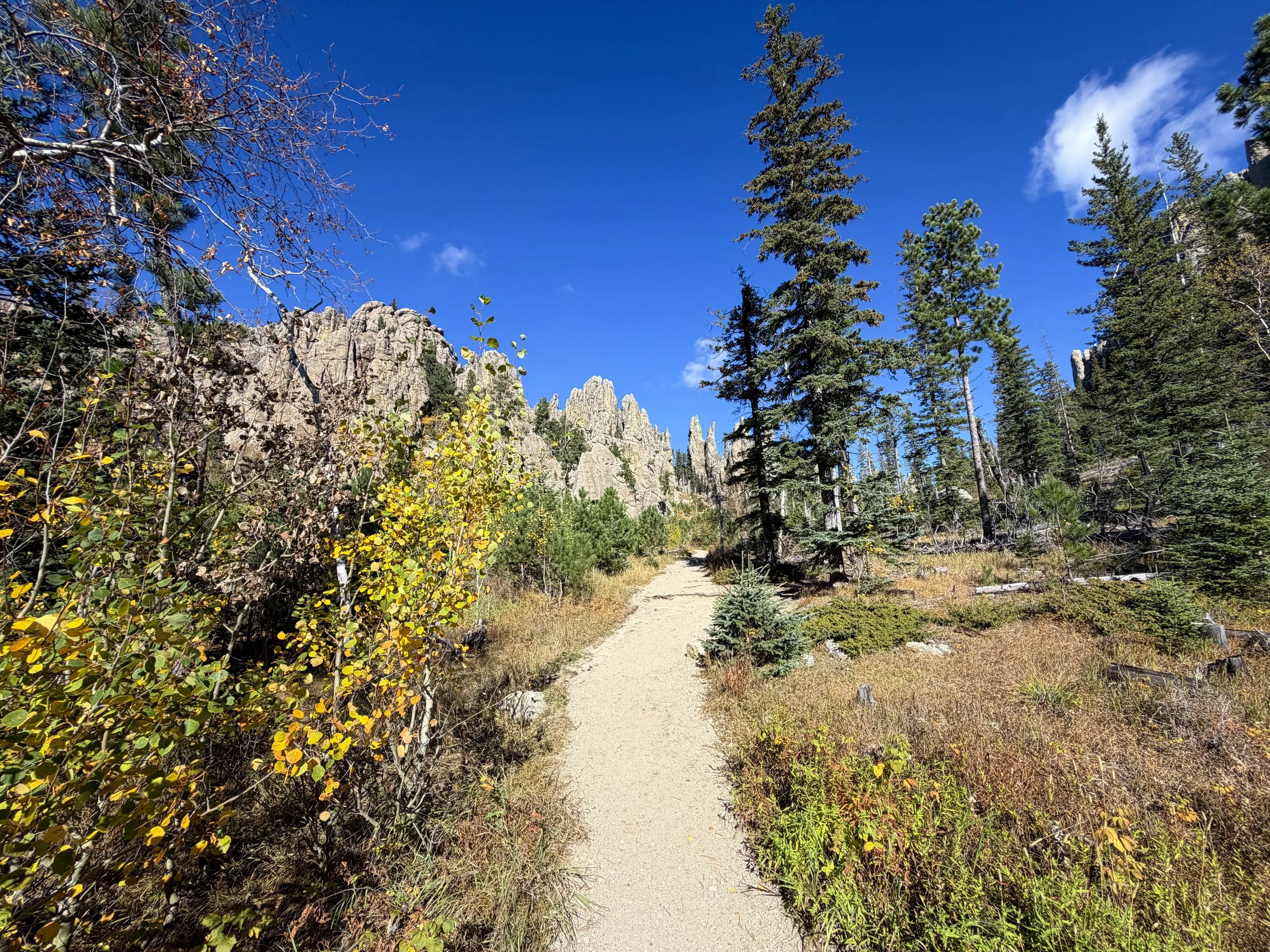 Cathedral Spires Trail Custer State Park Black Hills South Dakota