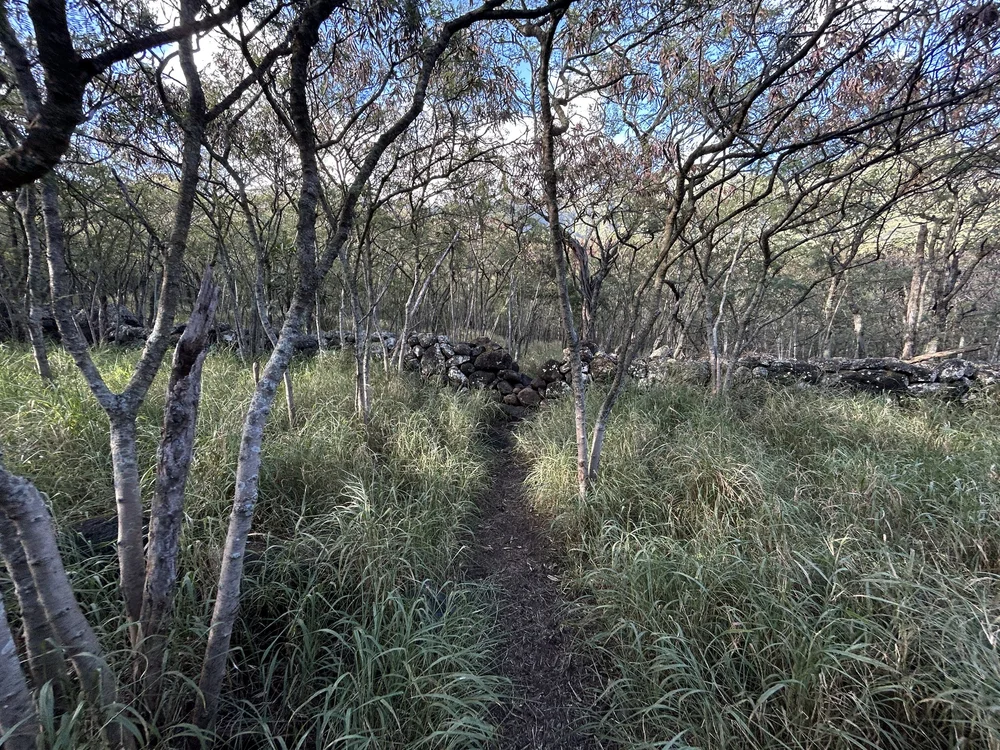 Hiking the Lualualei Lookout Trail on Oʻahu — noahawaii