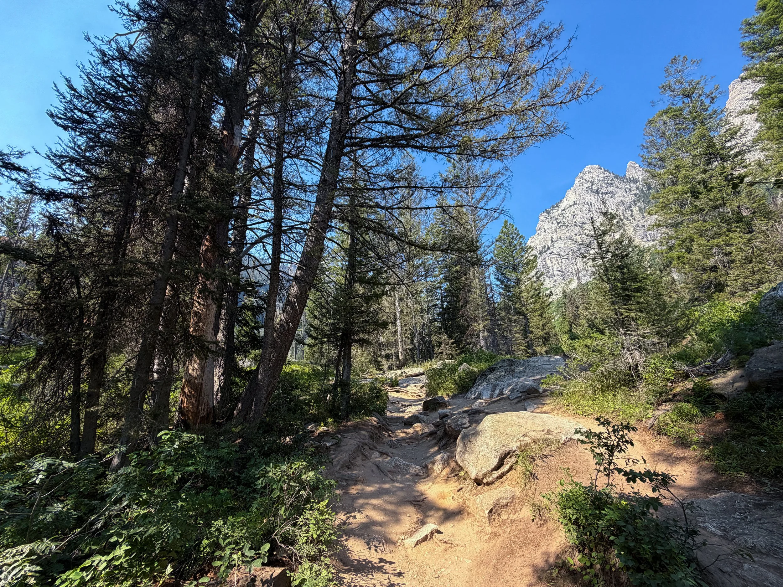 Inspiration Point Trail Grand Teton National Park Wyoming