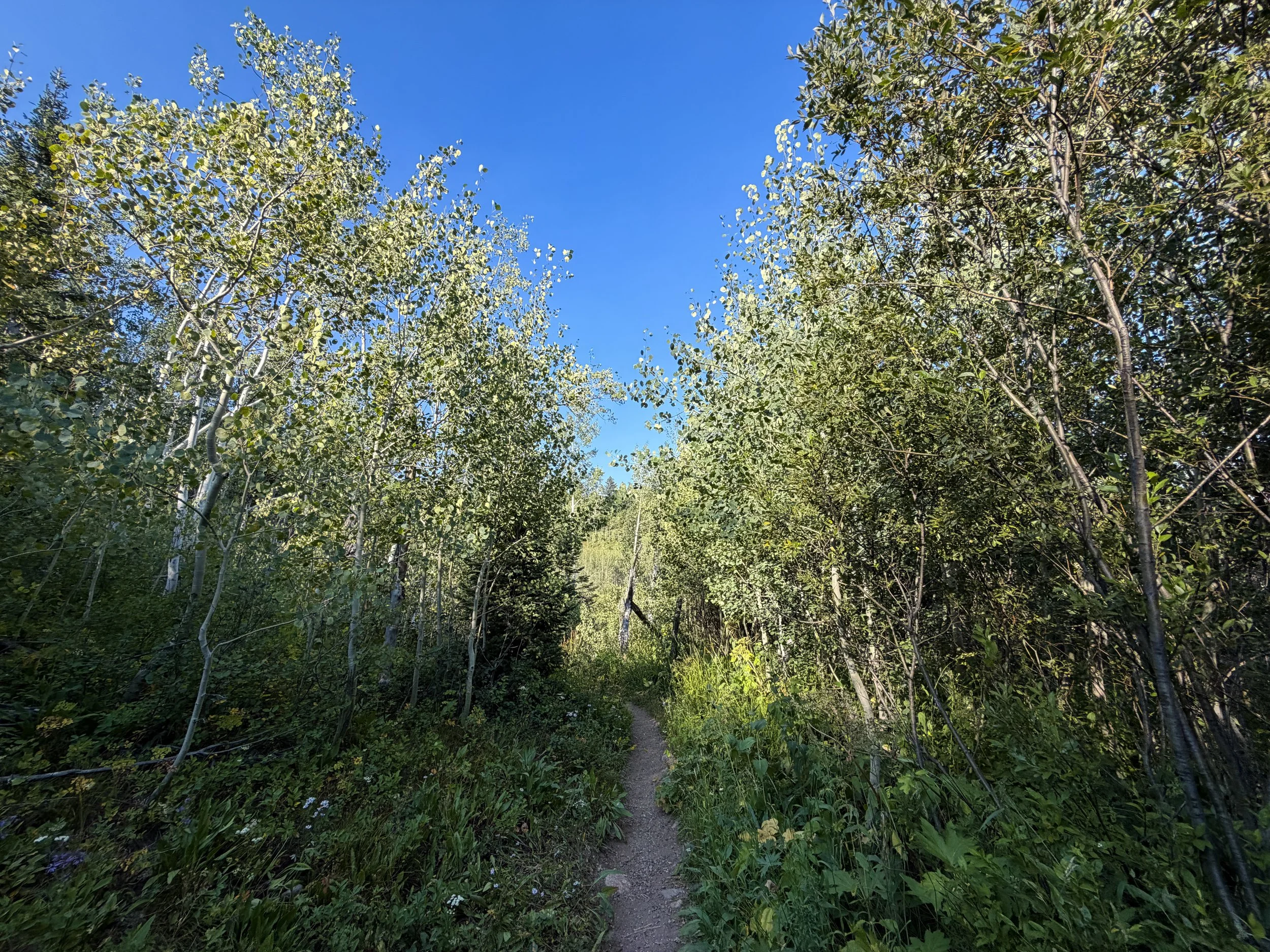 Moose Ponds Hike Grand Teton National Park Wyoming