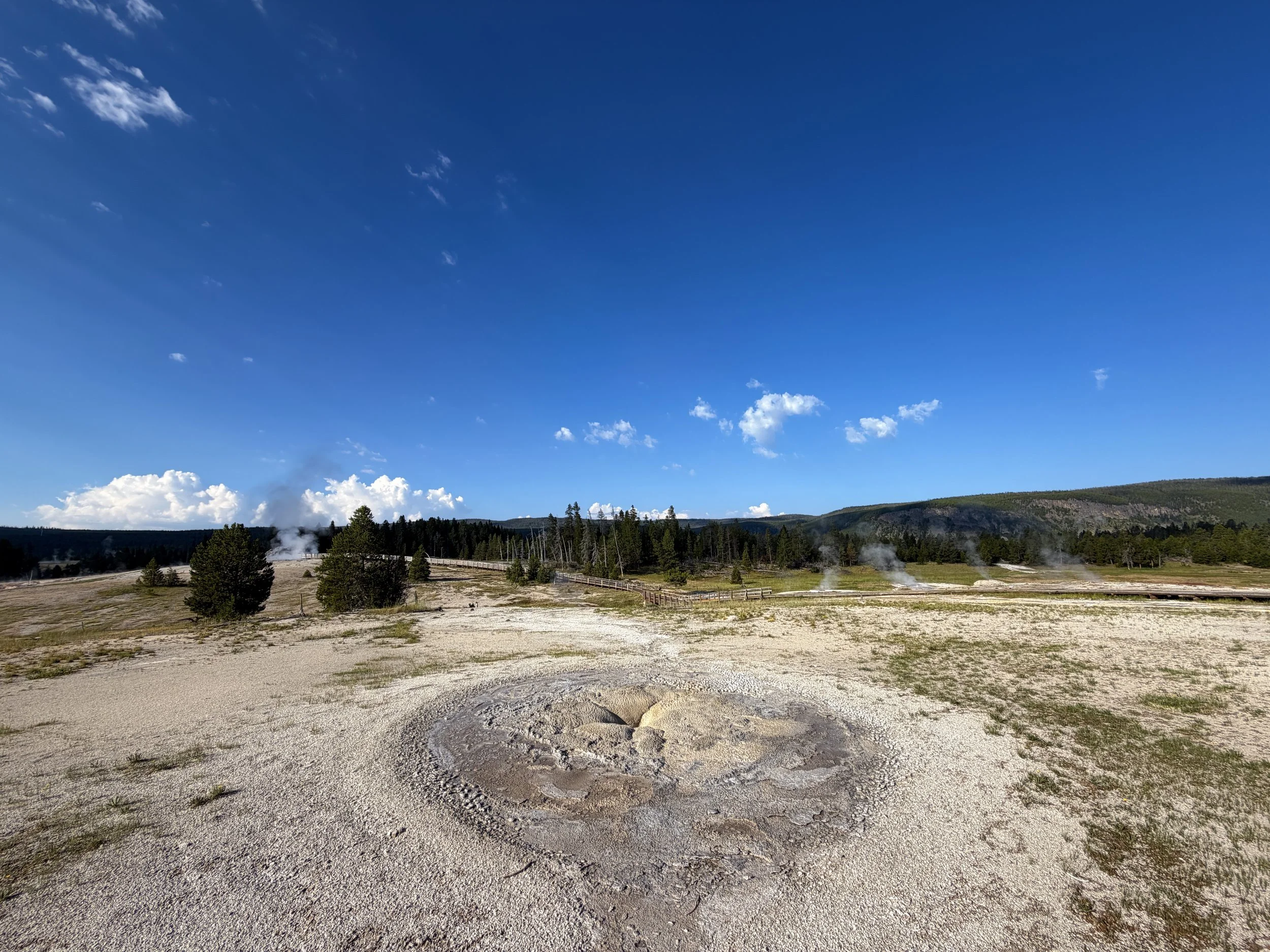 Tardy Geyser Yellowstone National Park Wyoming