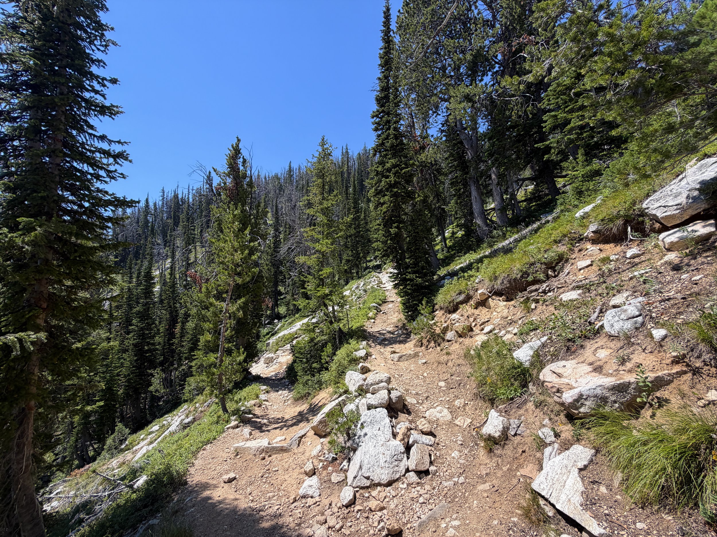 Surprise and Amphitheater Lakes Trail Grand Teton National Park Wyoming